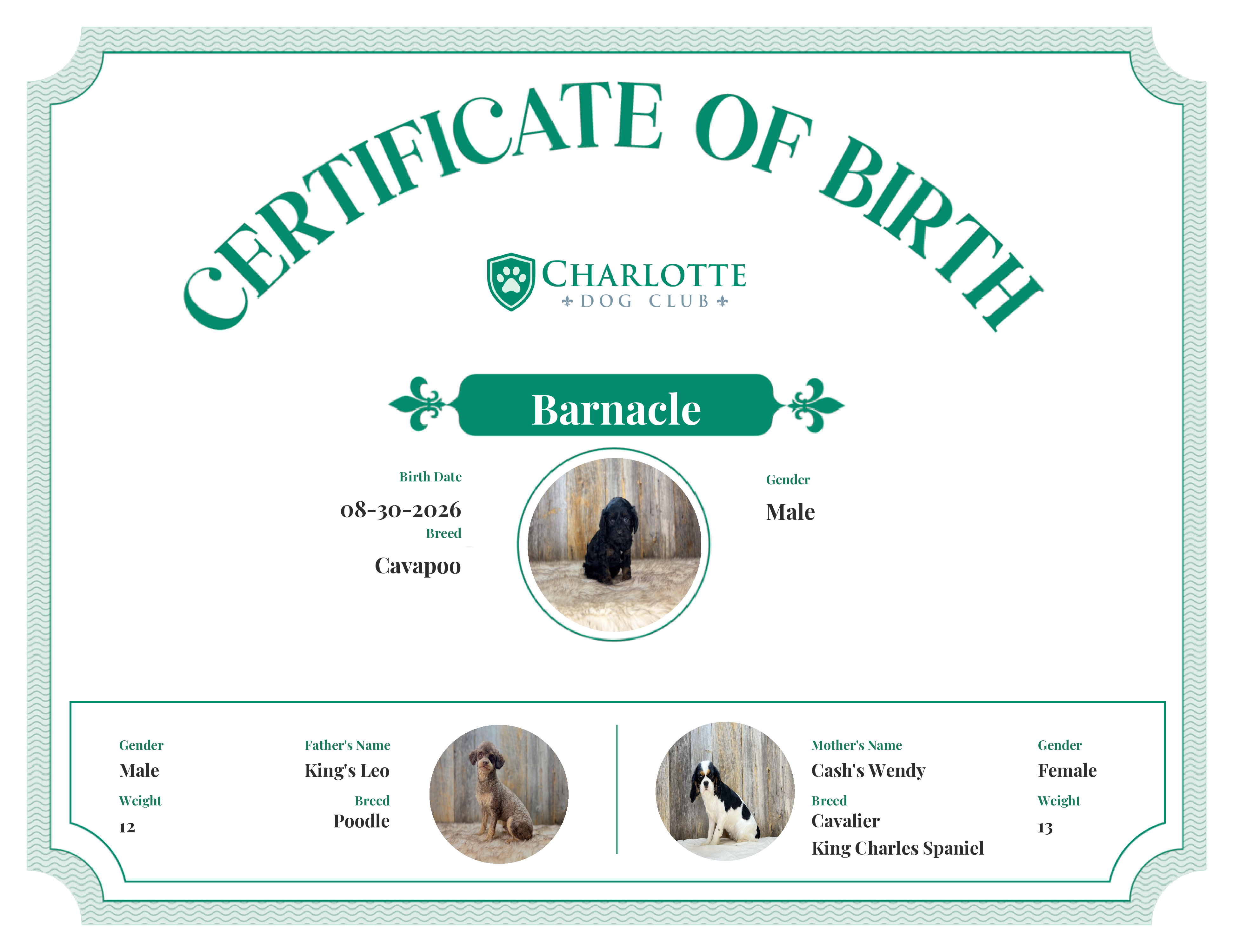 Barnacle's Birth Certificate
