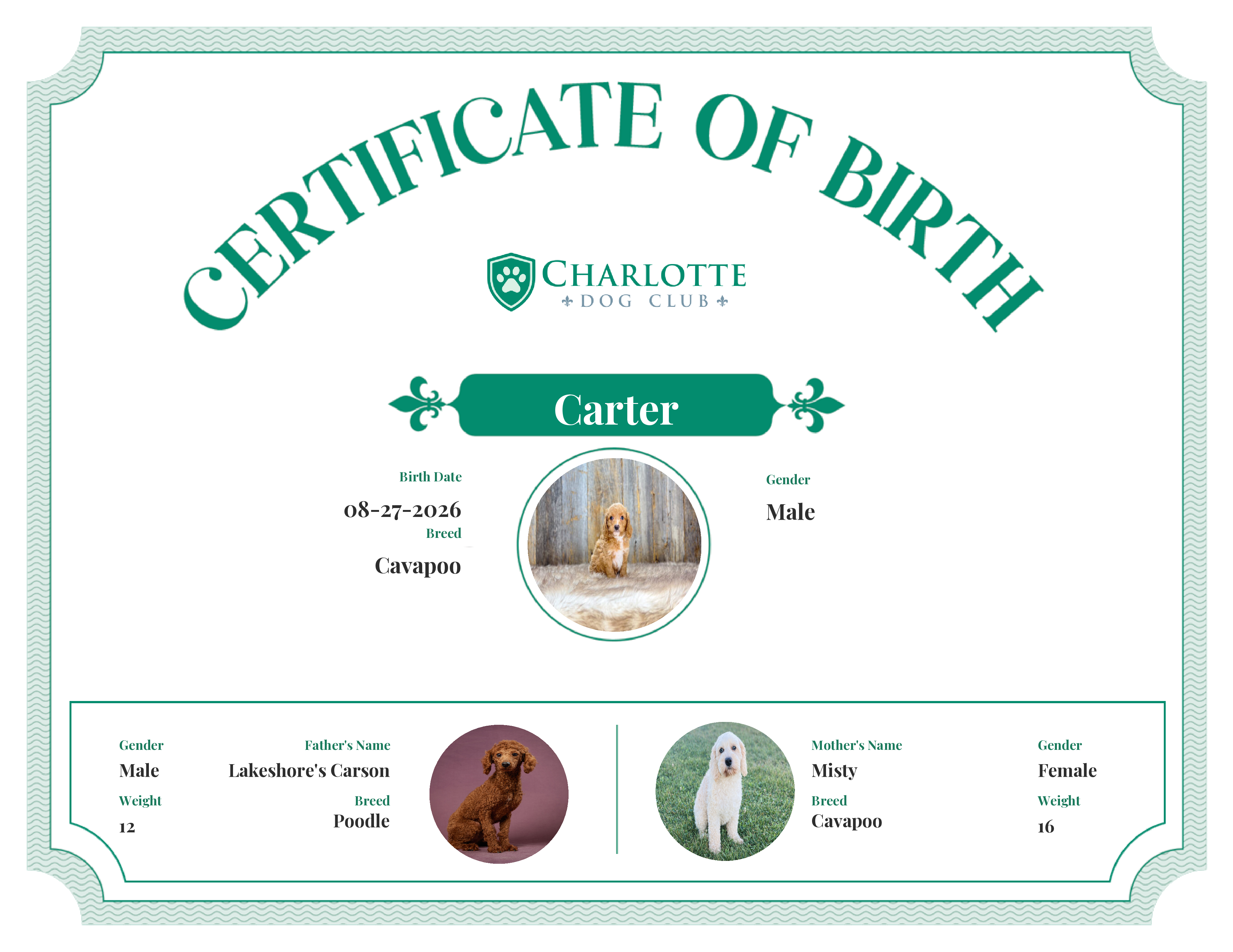 Carter's Birth Certificate