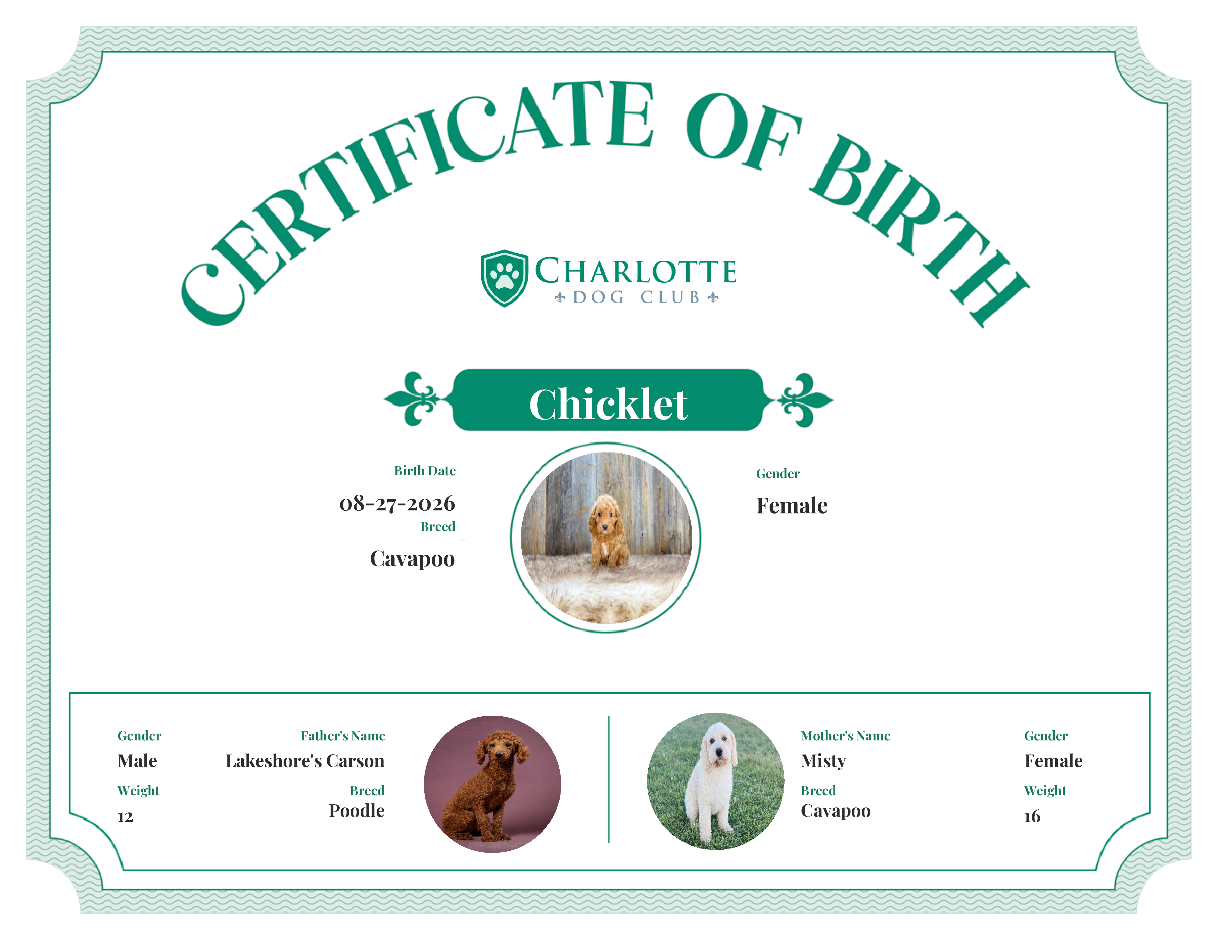 Chicklet's Birth Certificate