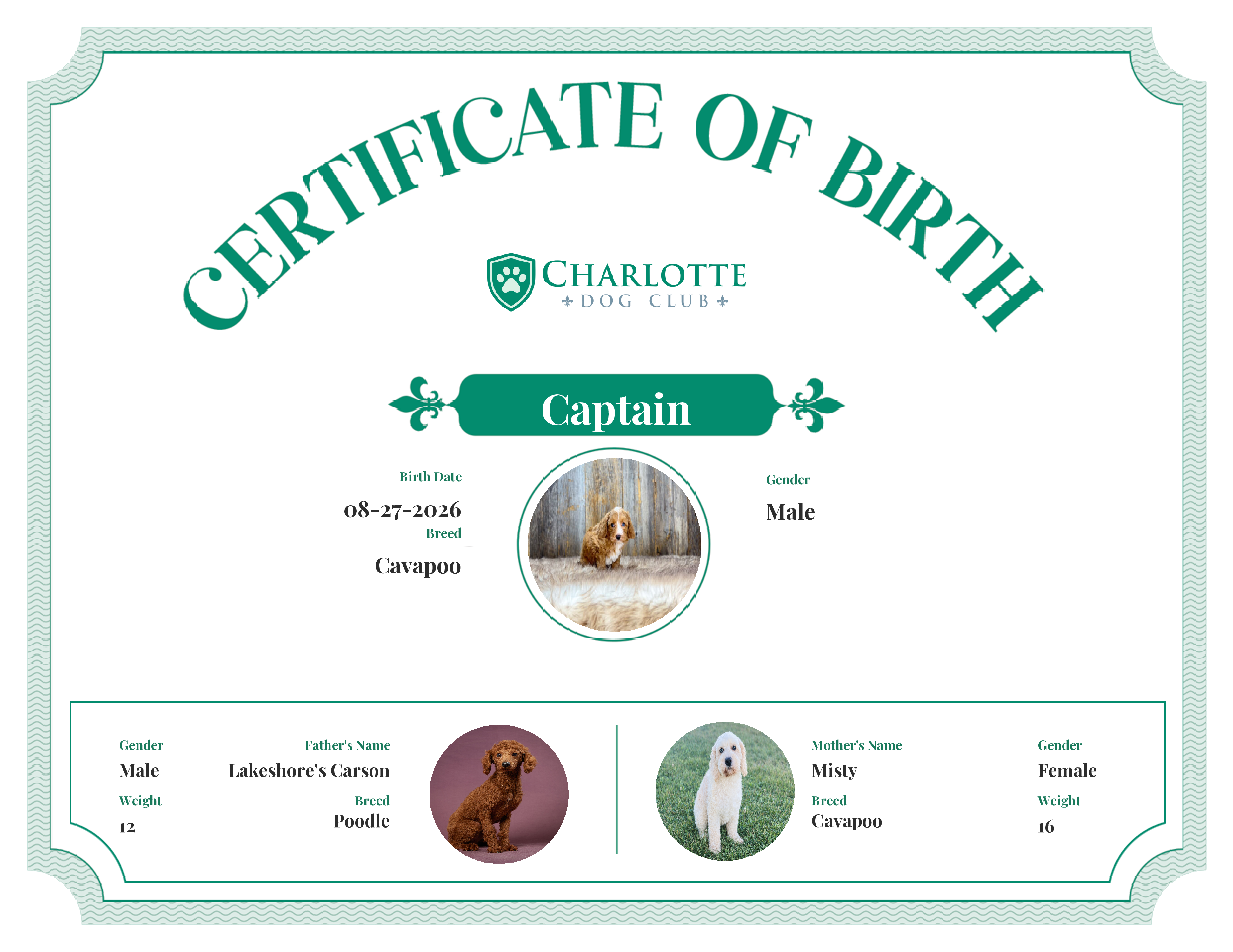 Captain's Birth Certificate