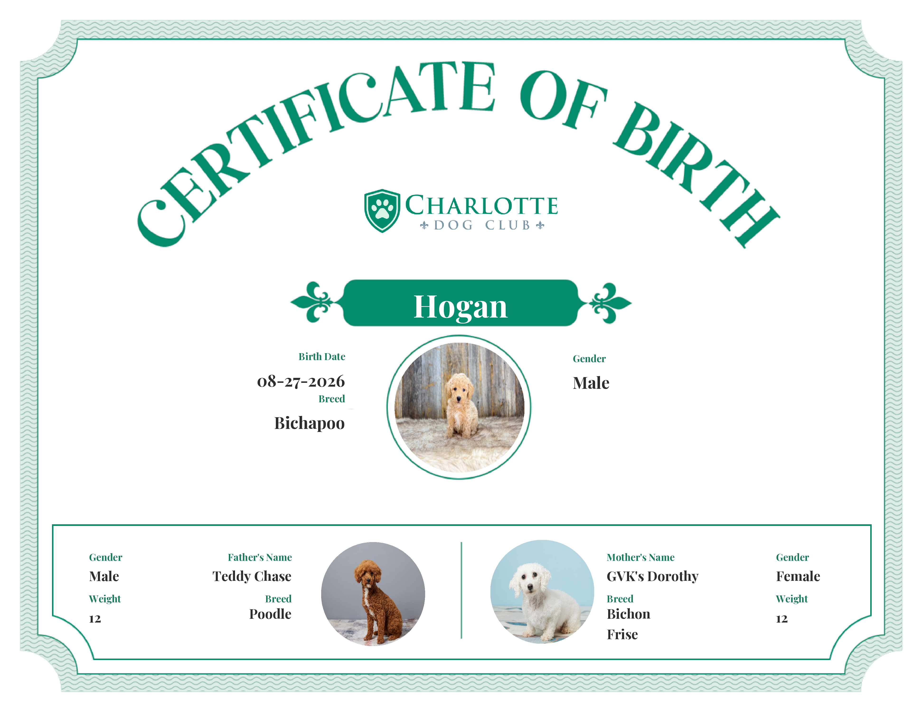 Hogan's Birth Certificate