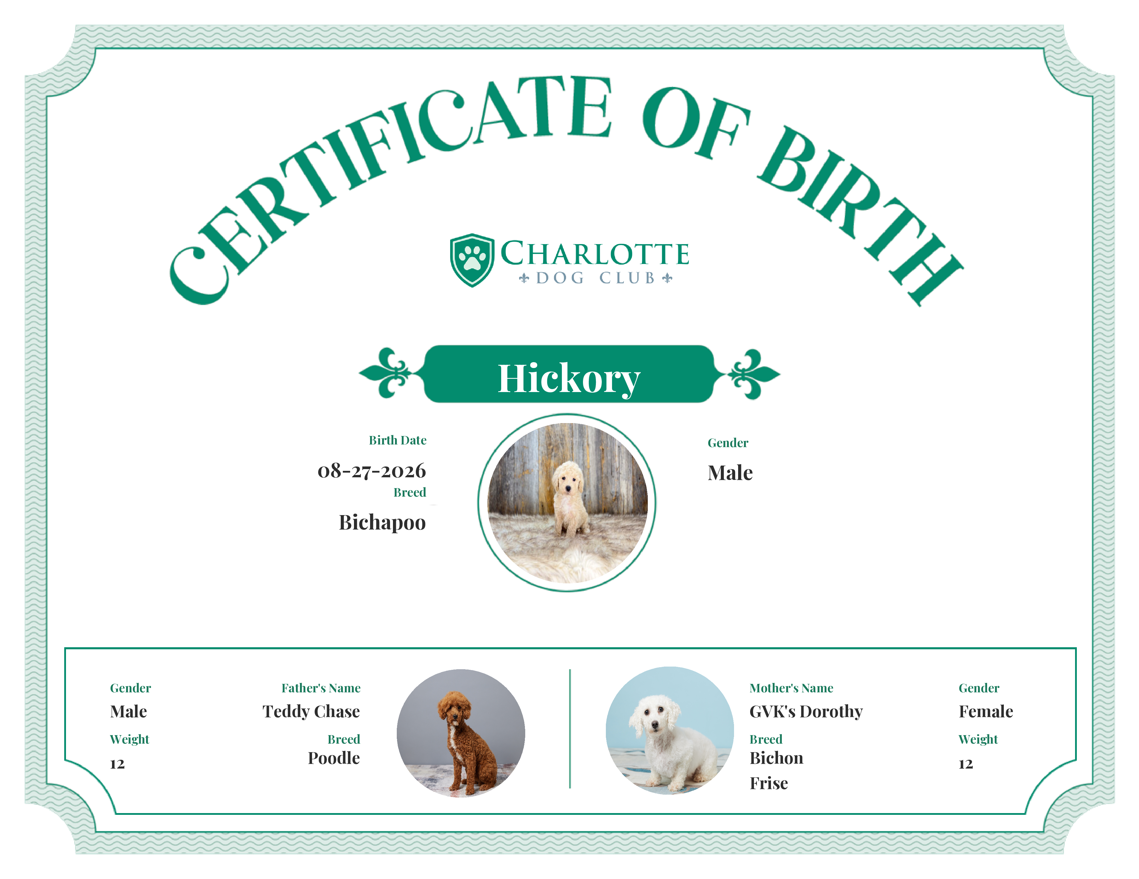 Hickory's Birth Certificate