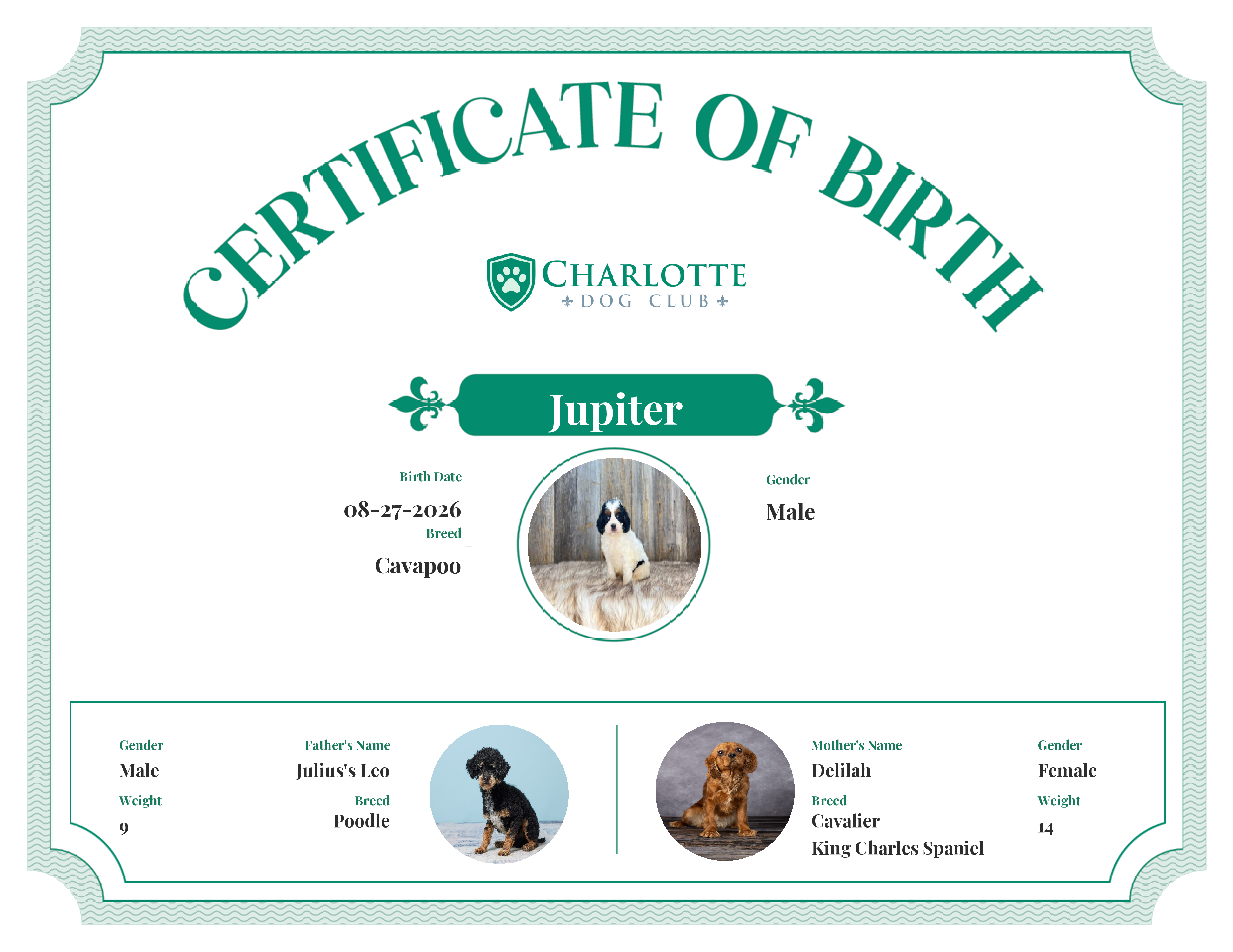 Jupiter's Birth Certificate