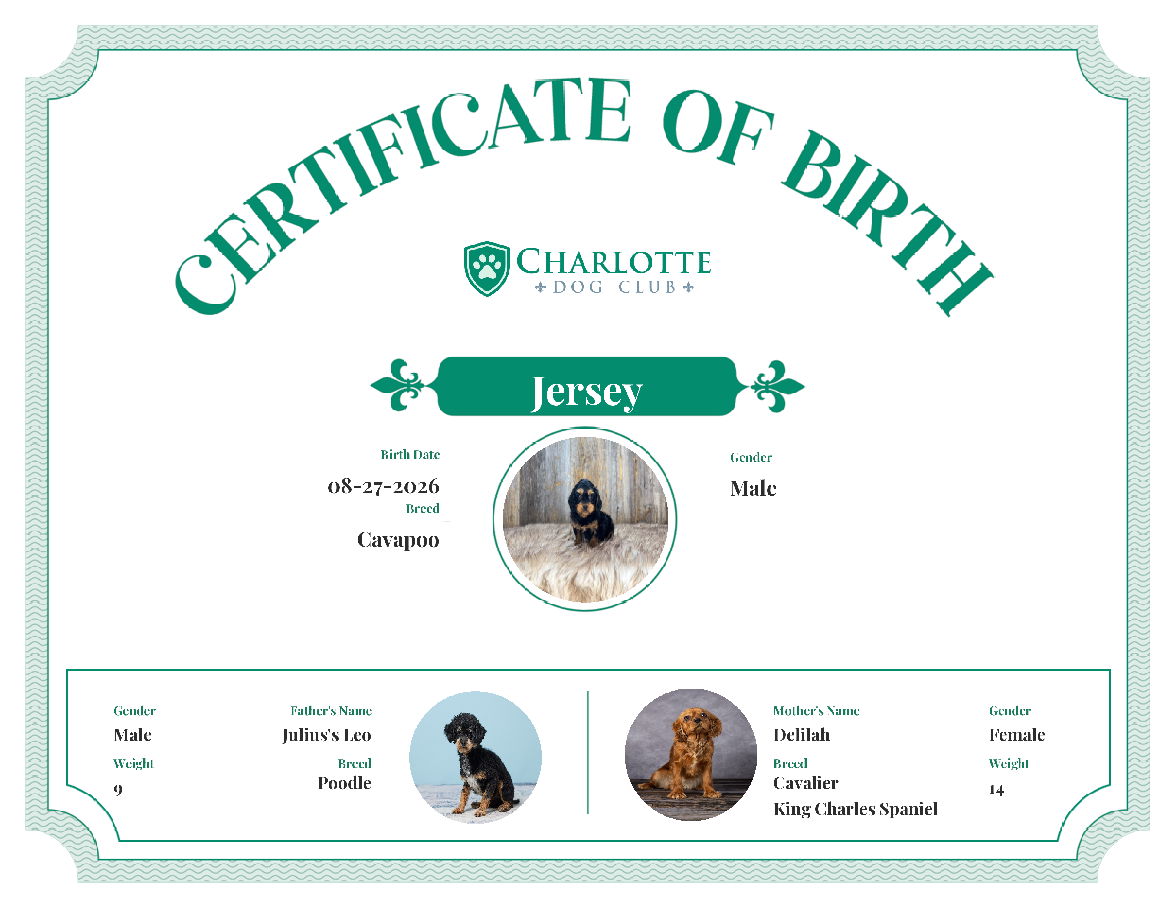 Jersey's Birth Certificate
