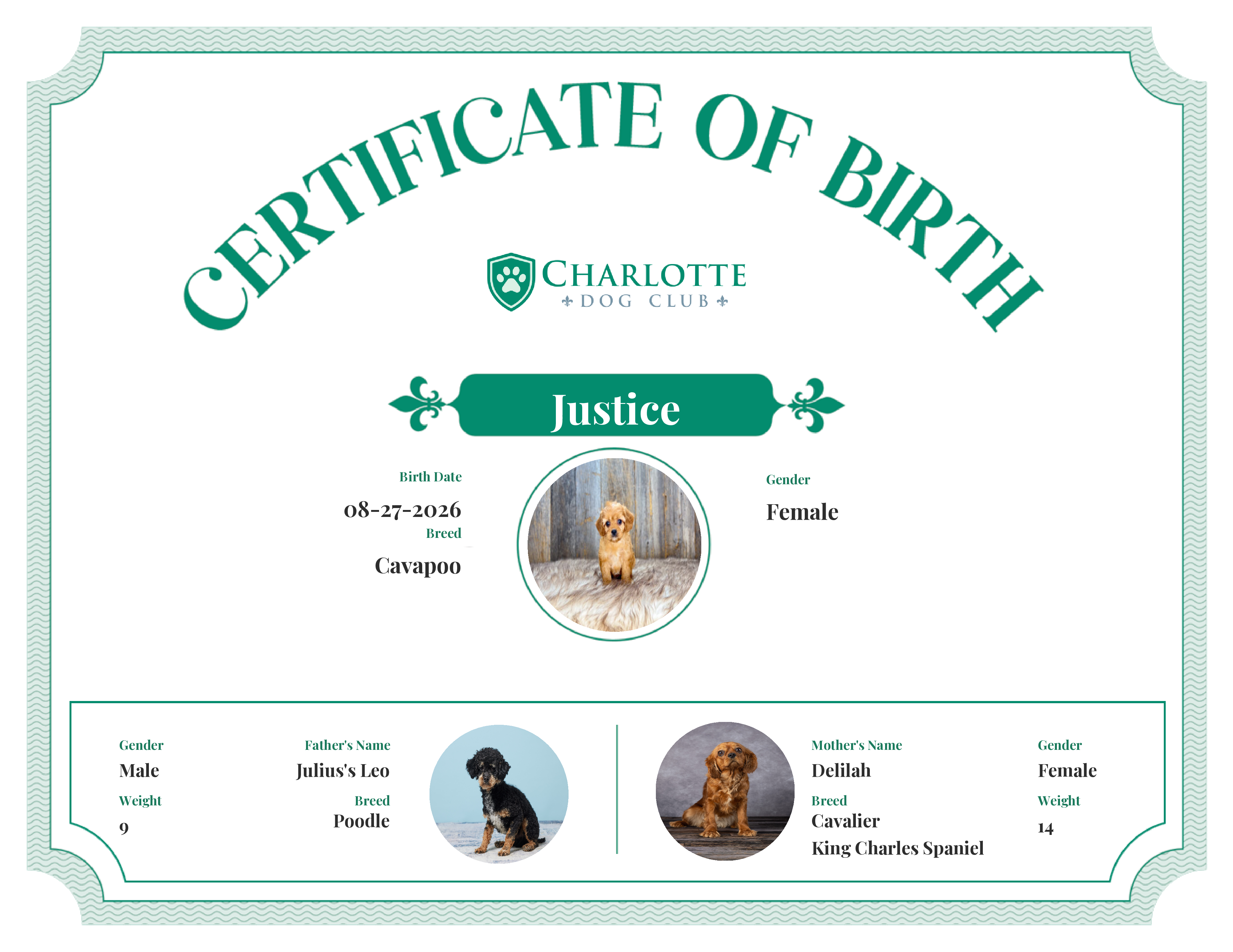 Justice's Birth Certificate