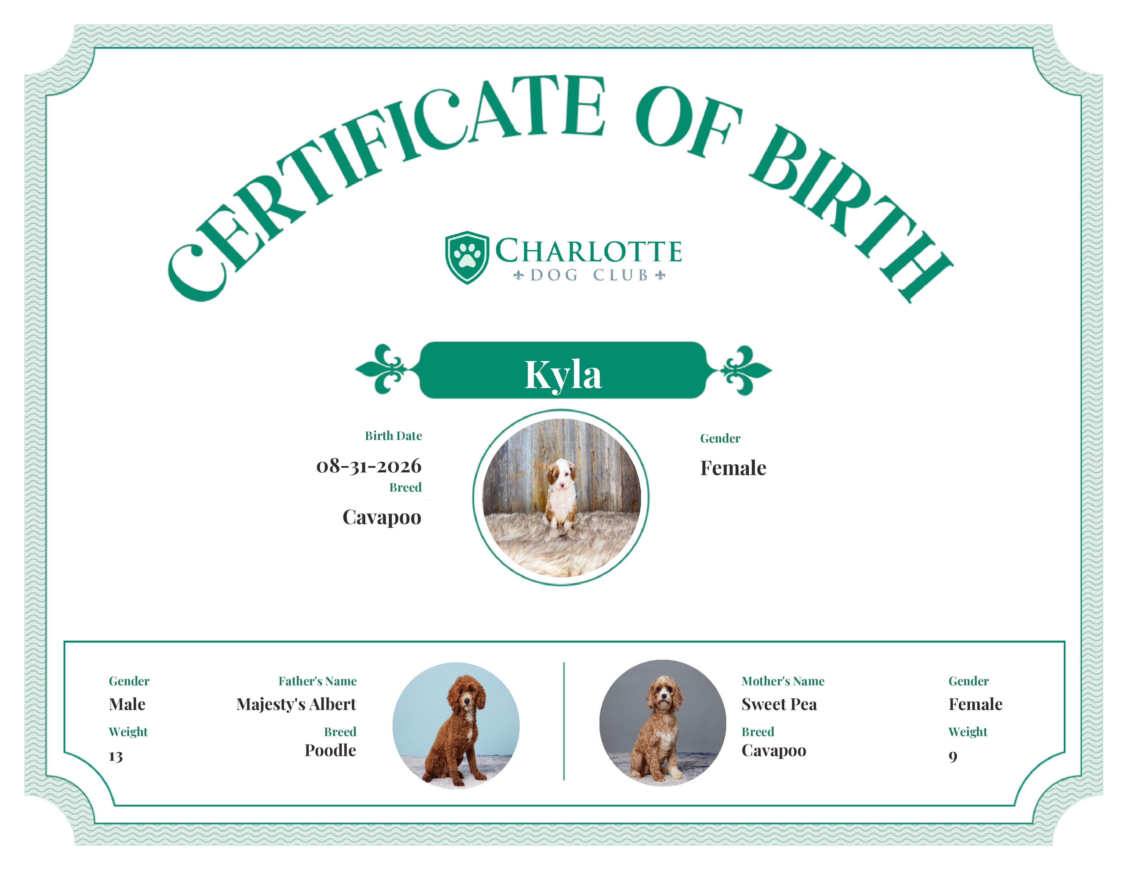 Kyla's Birth Certificate