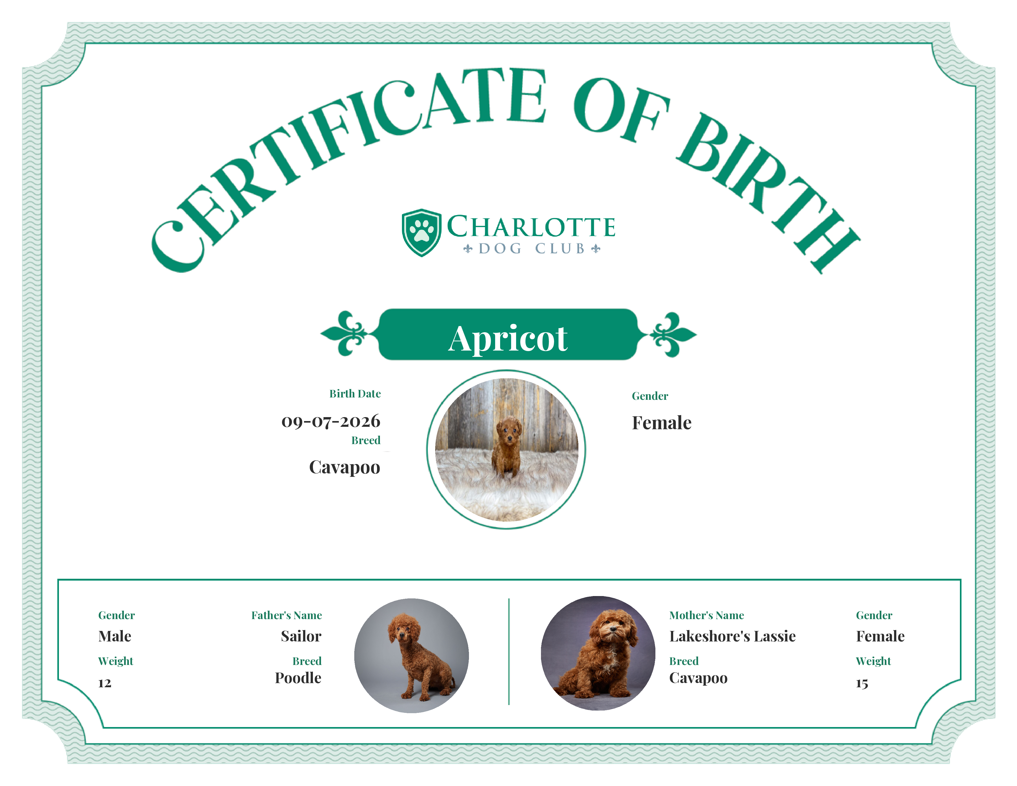 Apricot's Birth Certificate