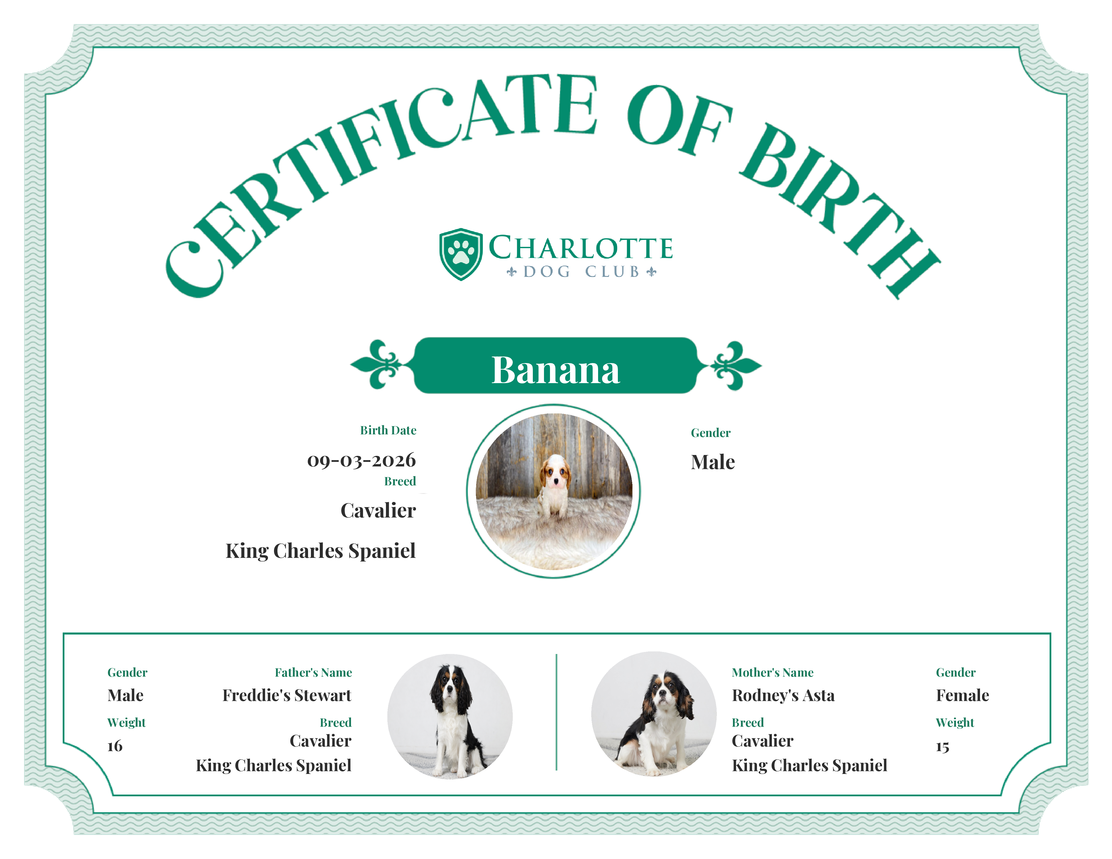 Banana's Birth Certificate