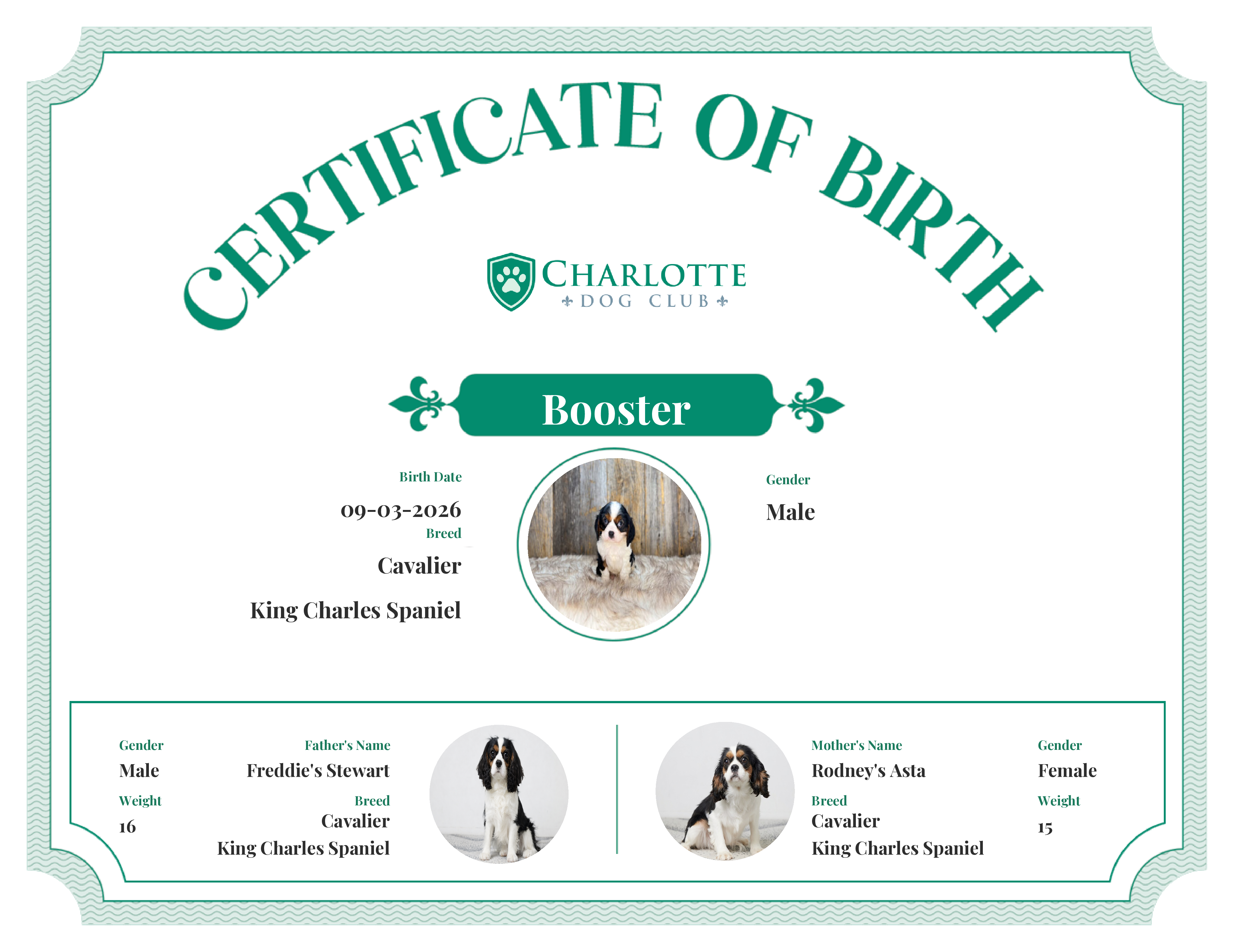 Booster's Birth Certificate
