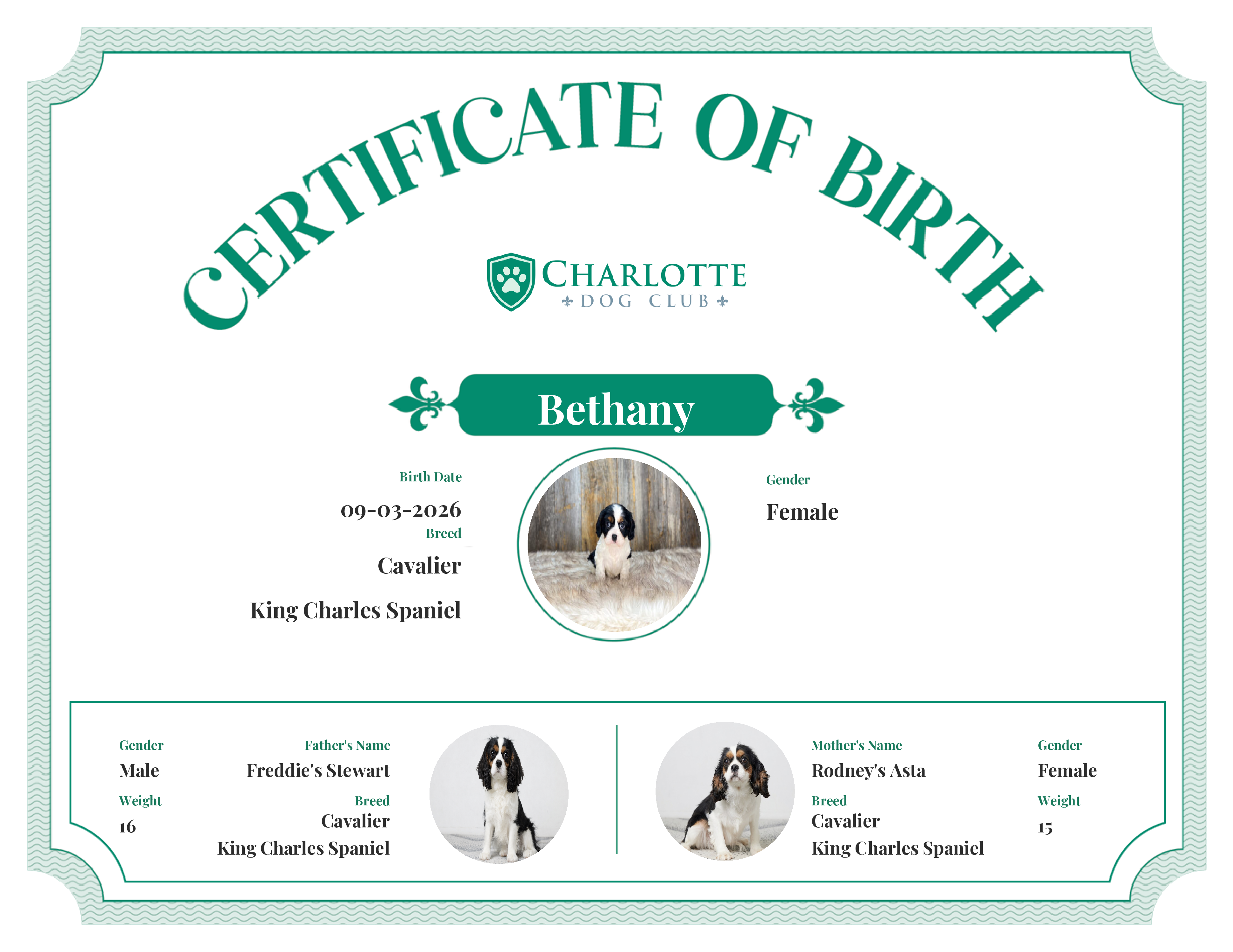 Bethany's Birth Certificate