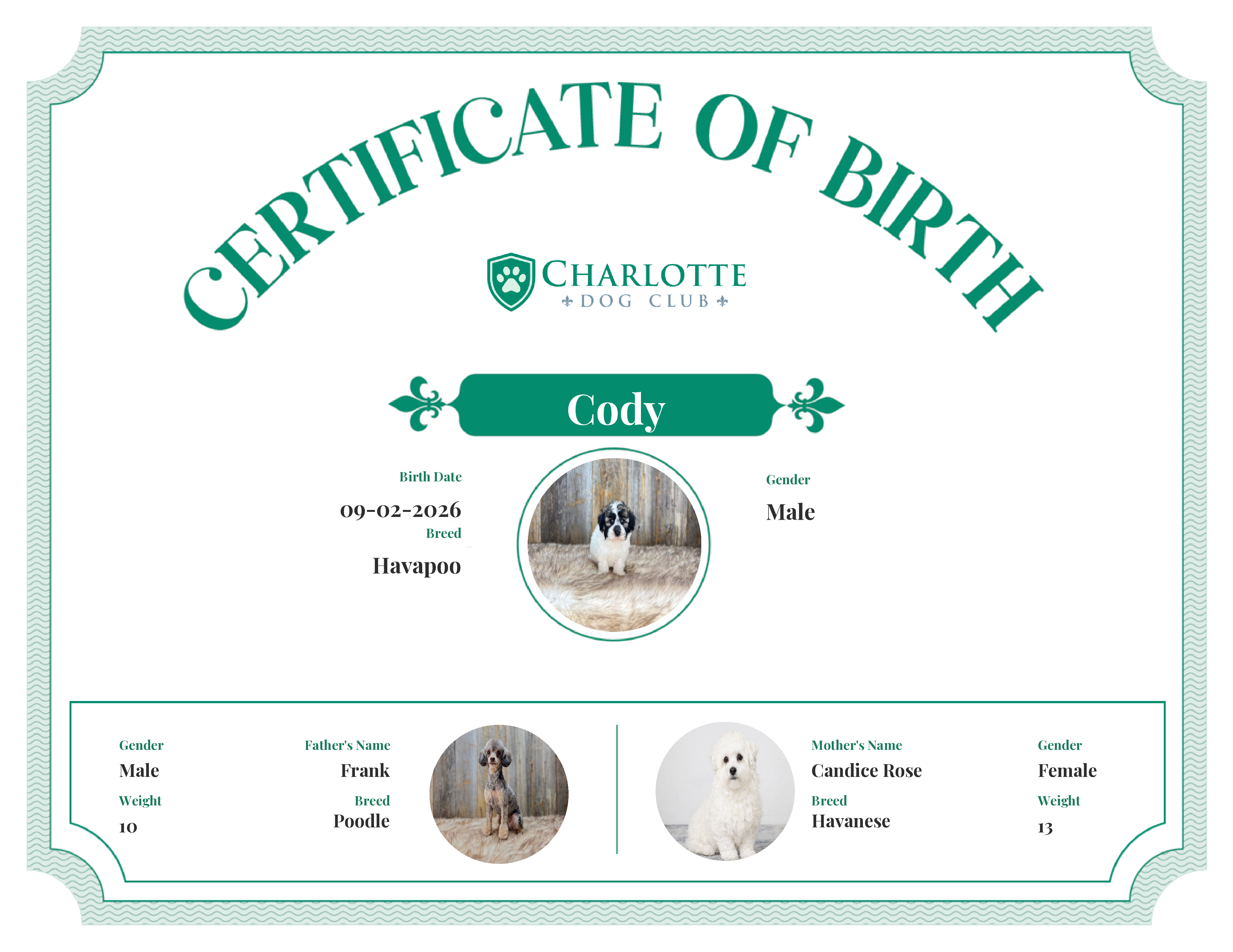 Cody's Birth Certificate