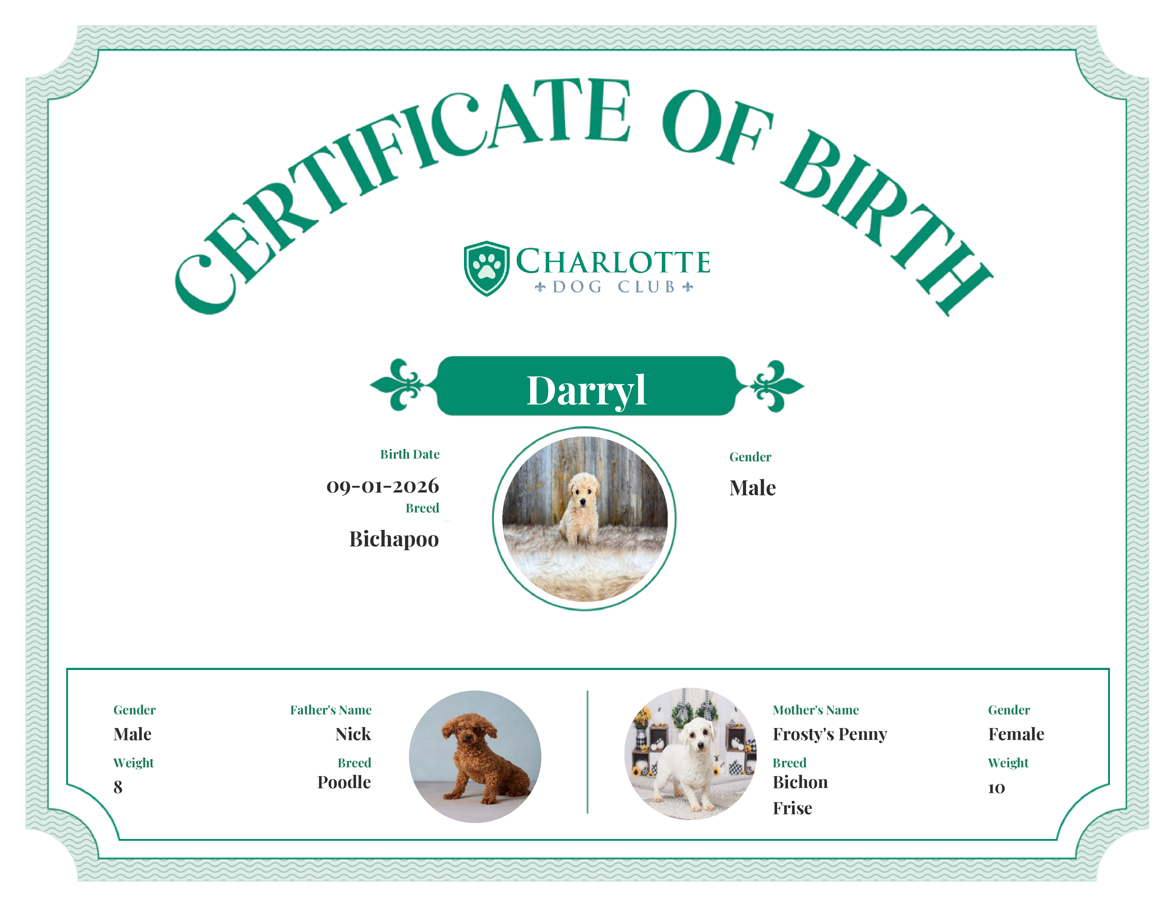 Darryl's Birth Certificate