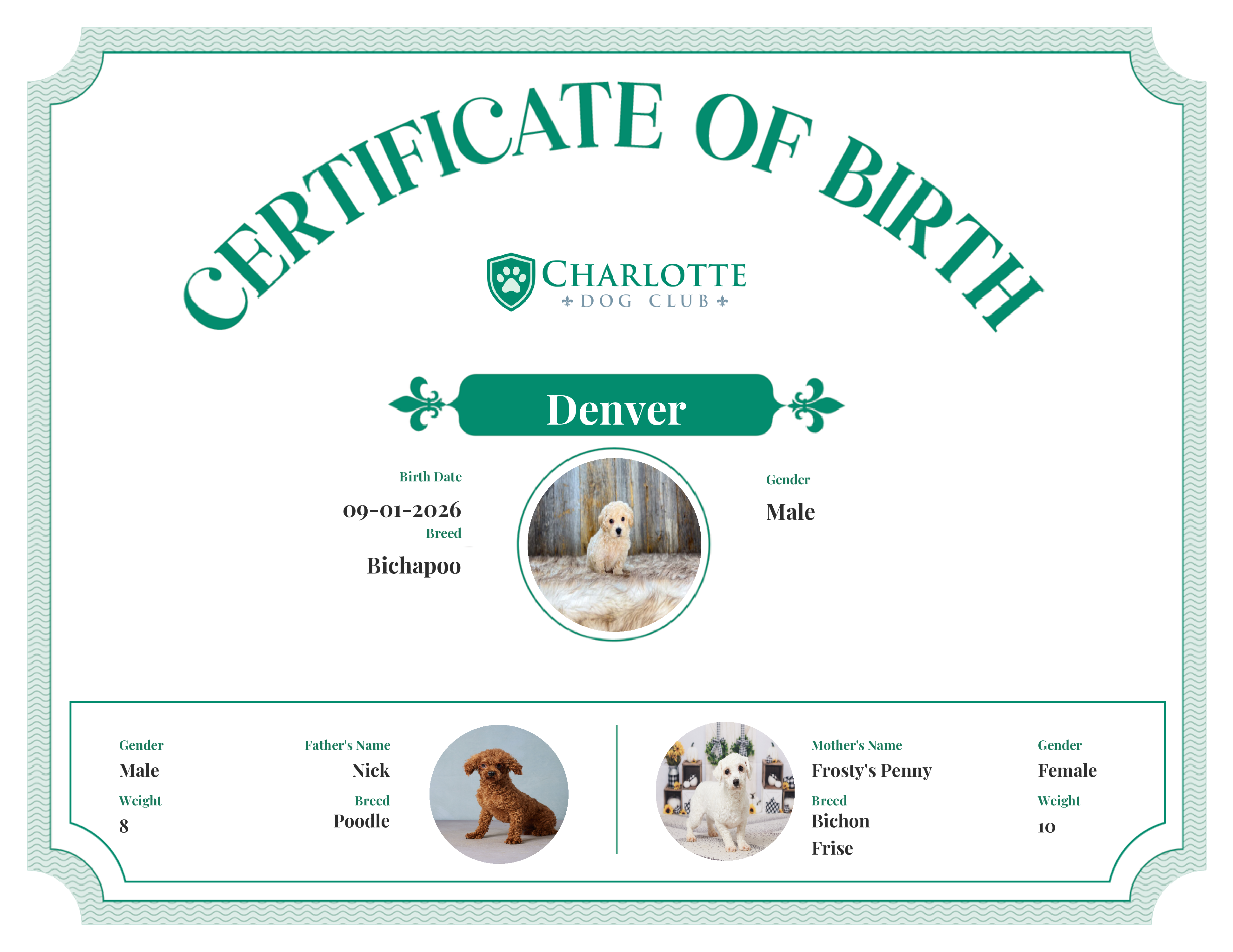 Denver's Birth Certificate