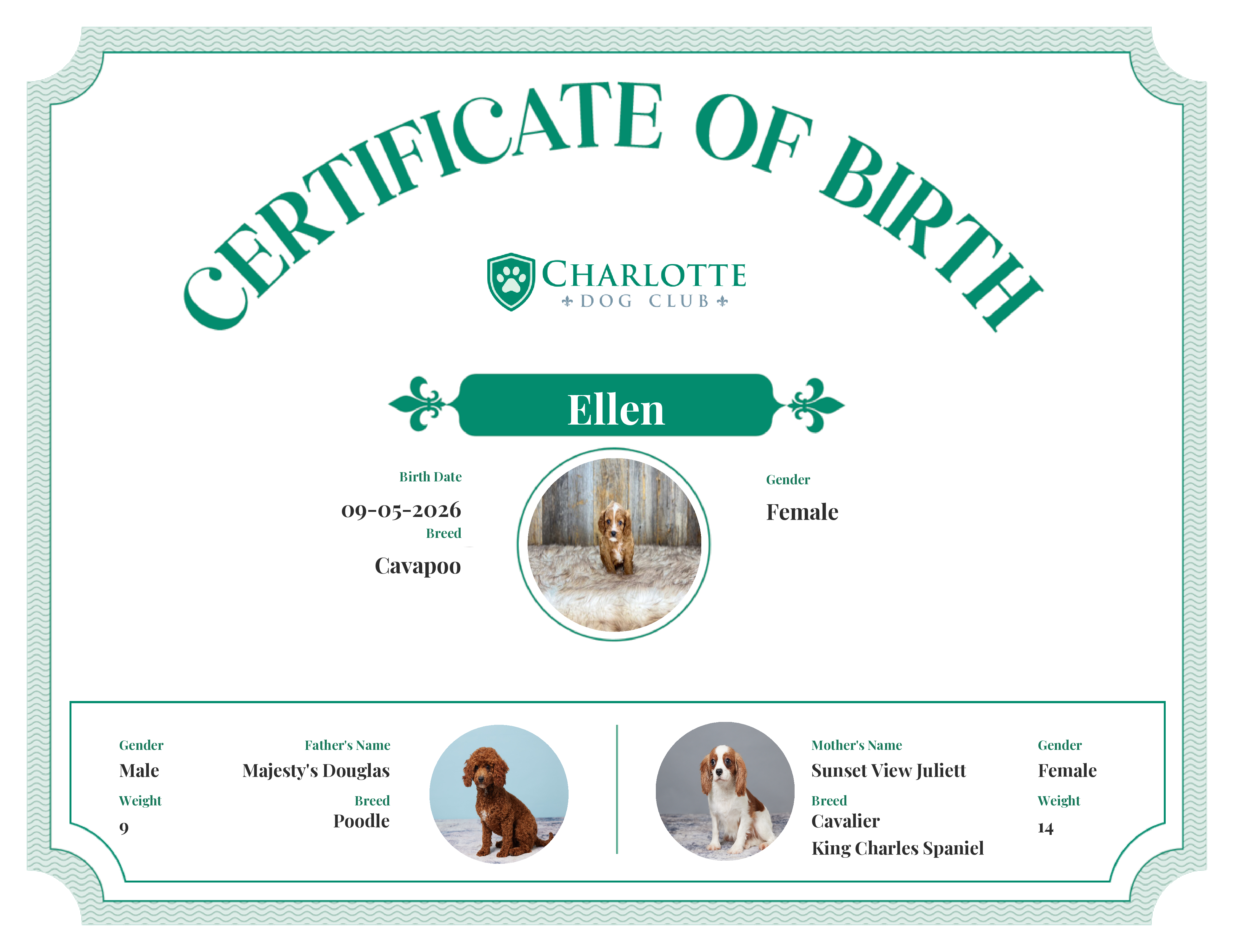 Ellen's Birth Certificate