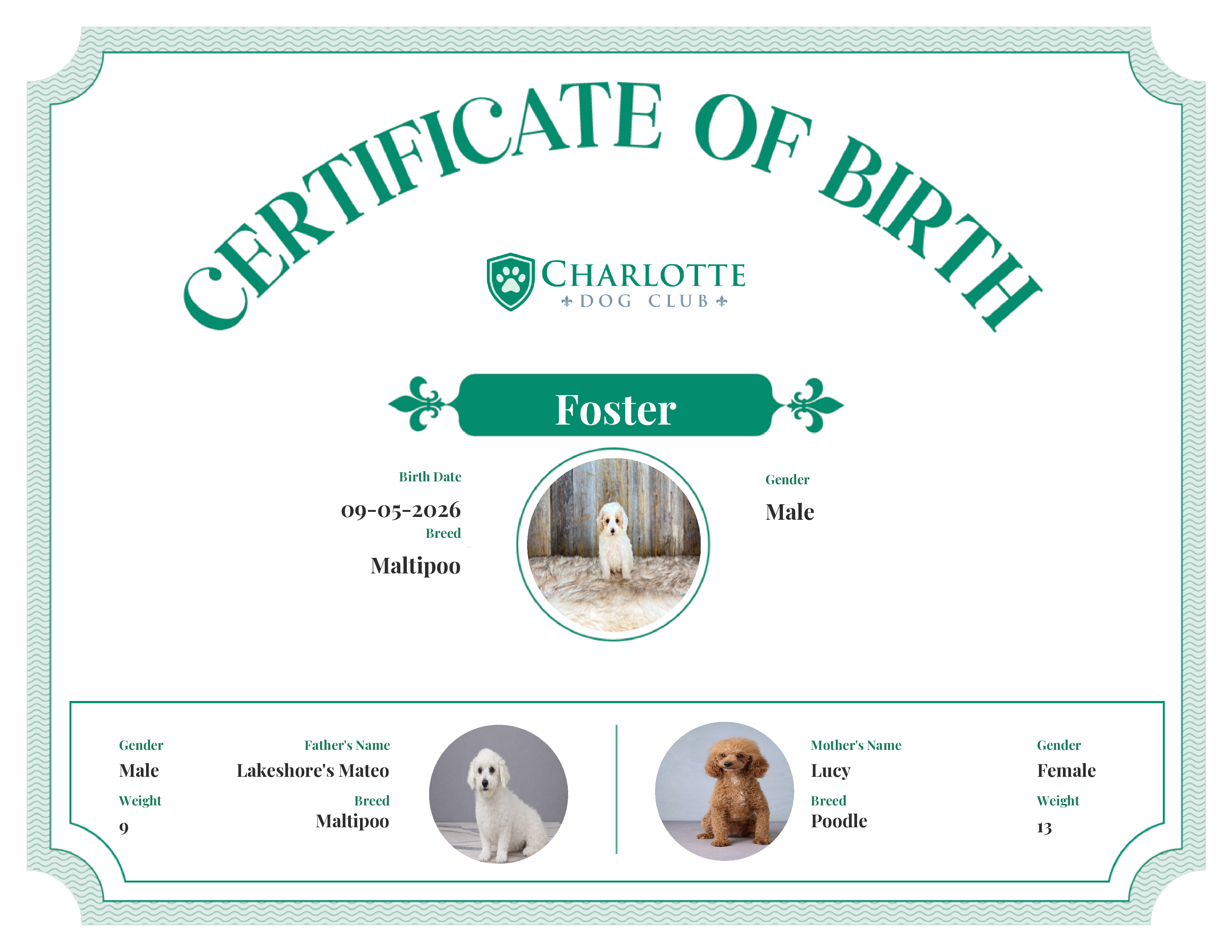 Foster's Birth Certificate