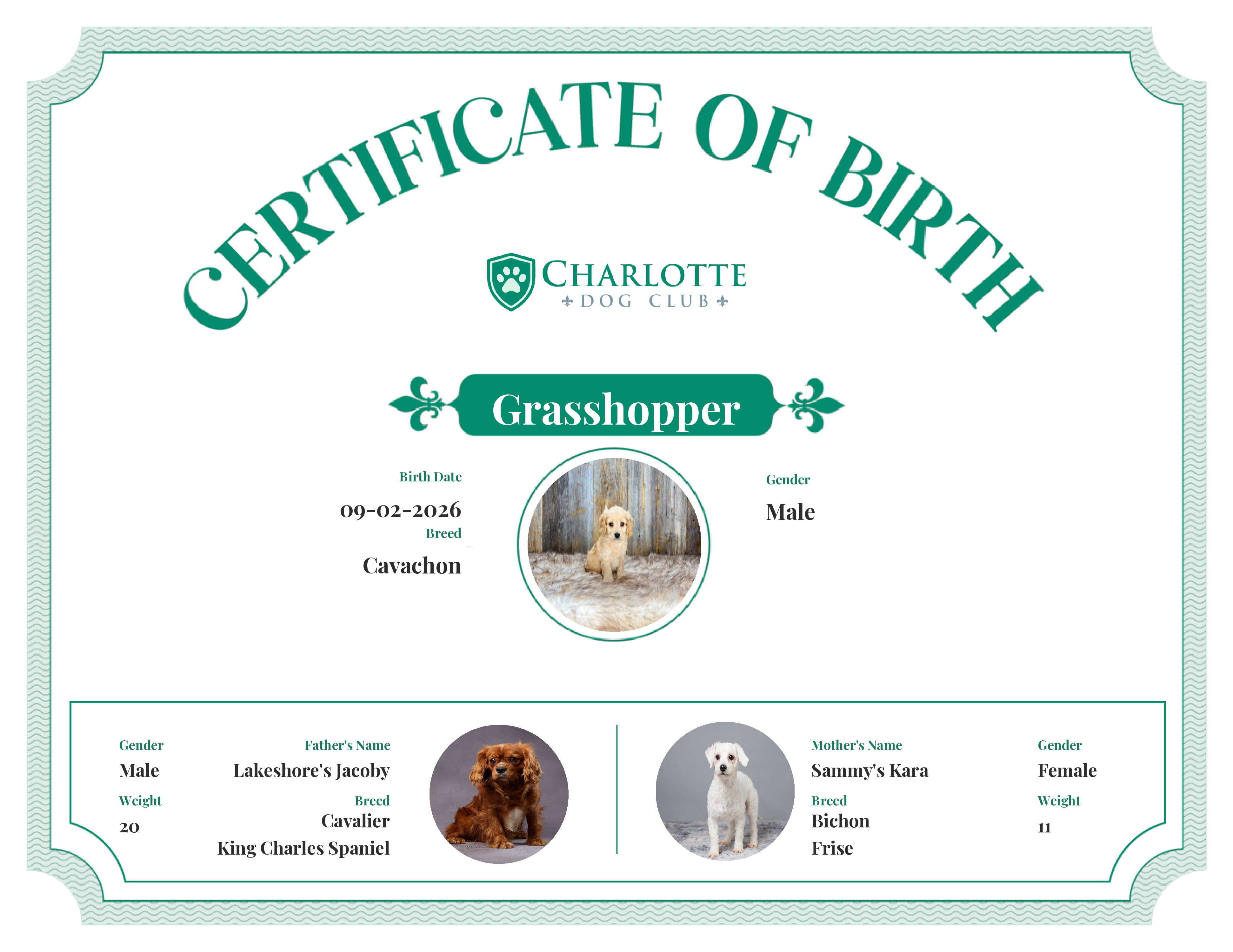 Grasshopper's Birth Certificate