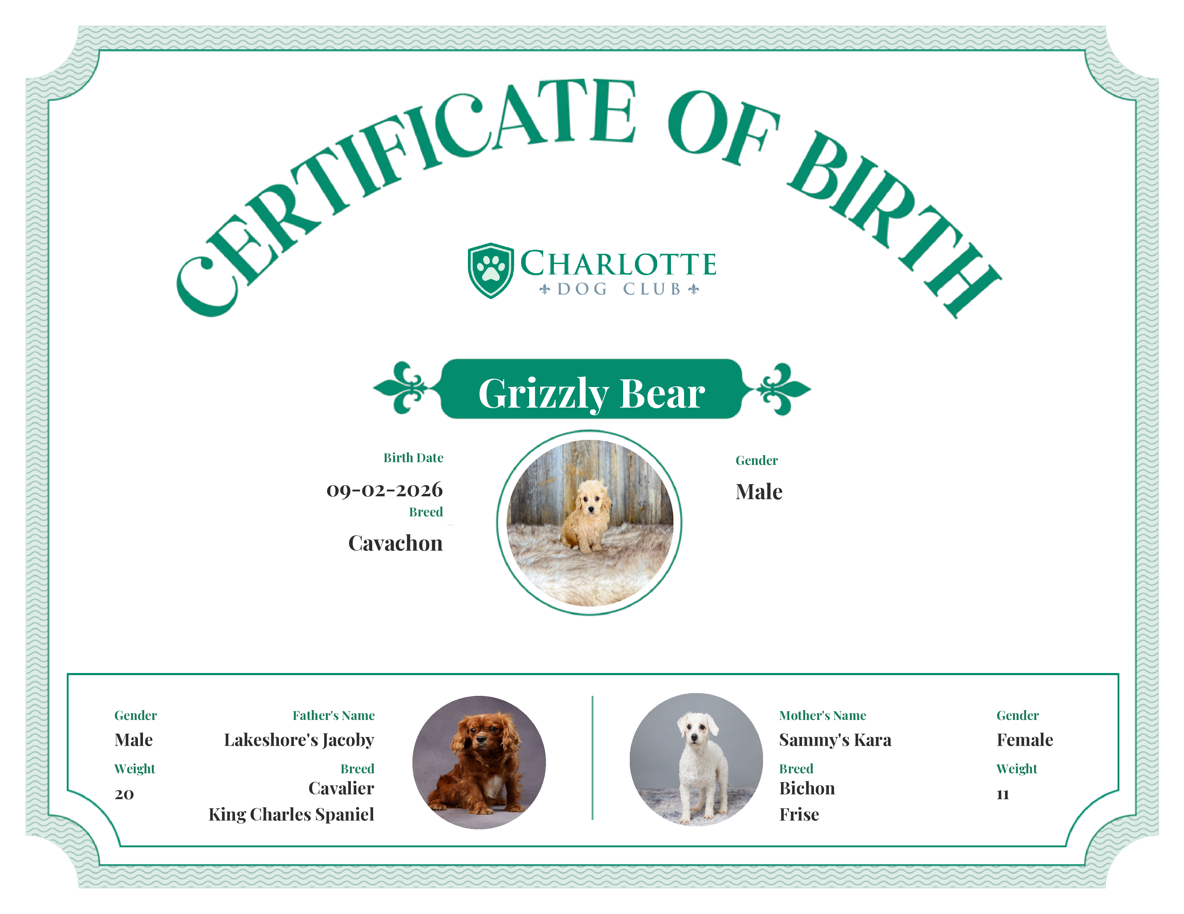 Grizzly Bear's Birth Certificate
