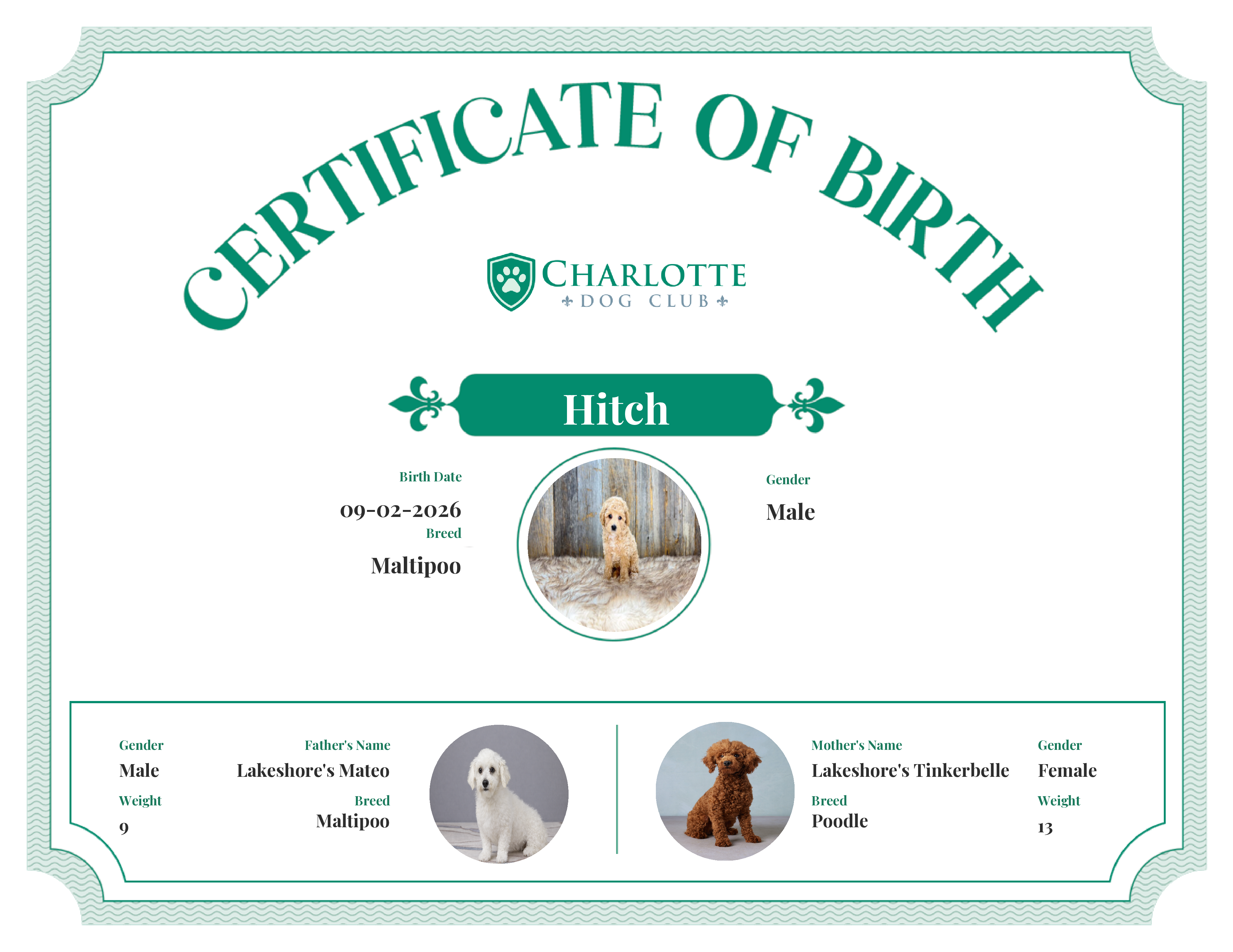 Hitch's Birth Certificate