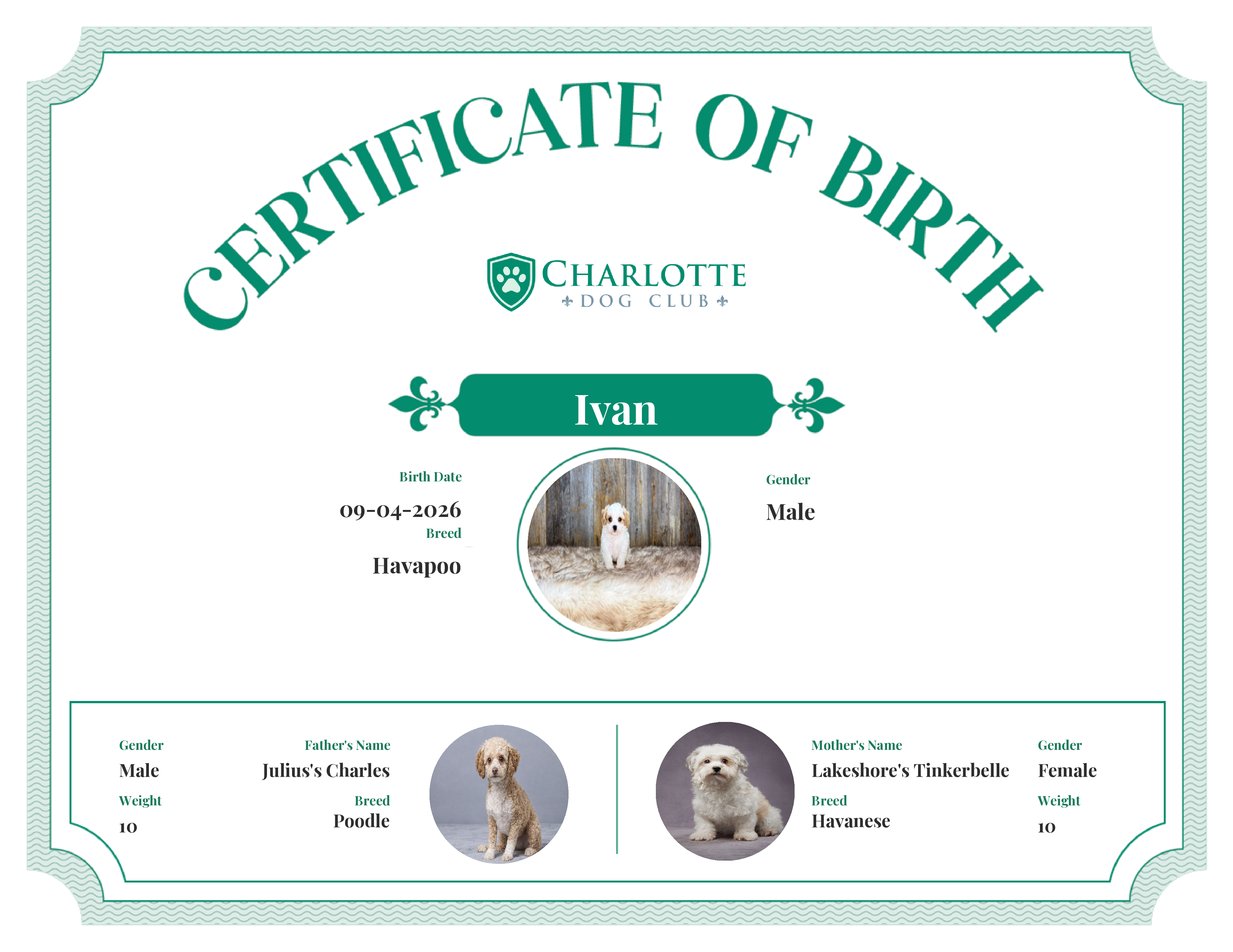 Ivan's Birth Certificate