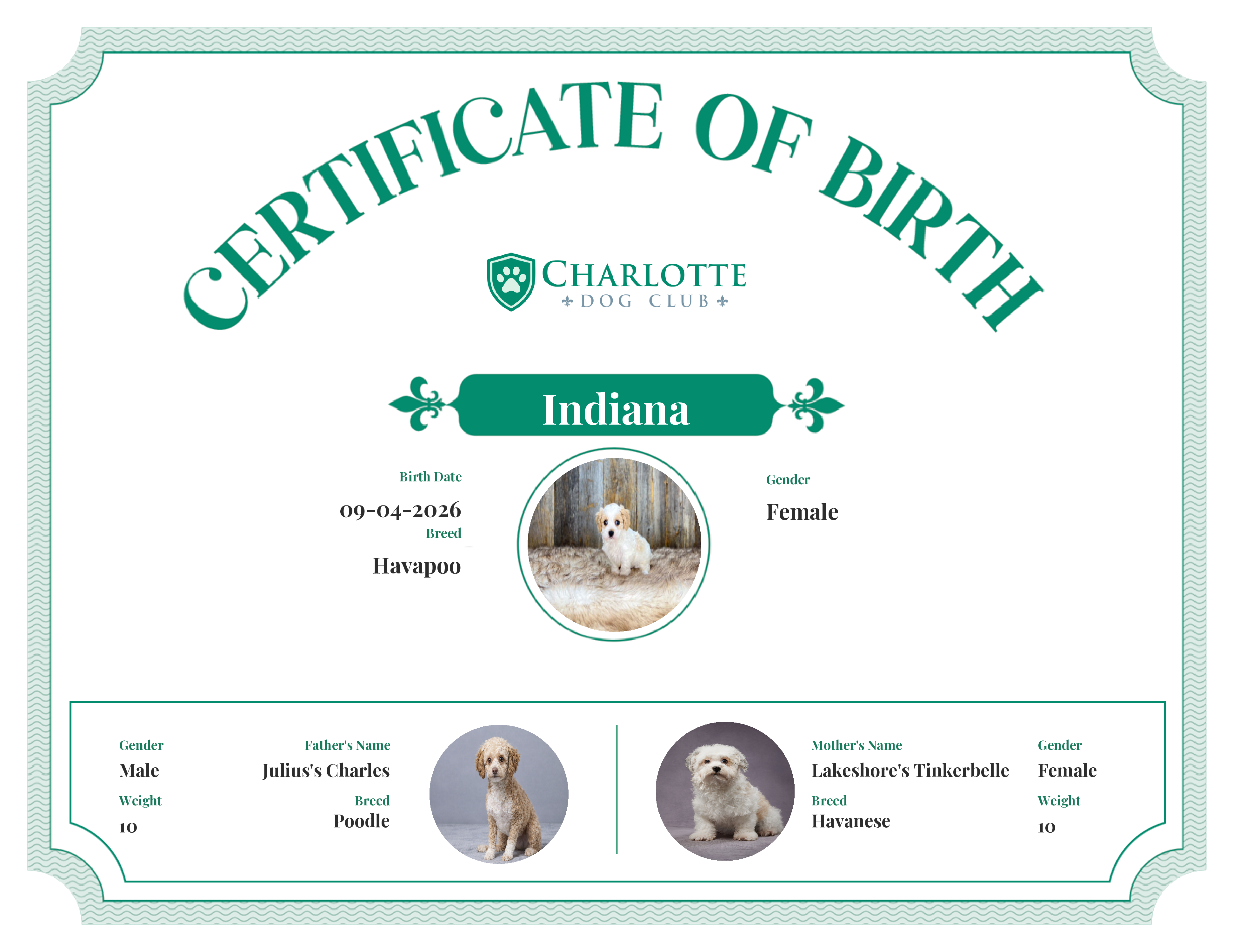 Indiana's Birth Certificate