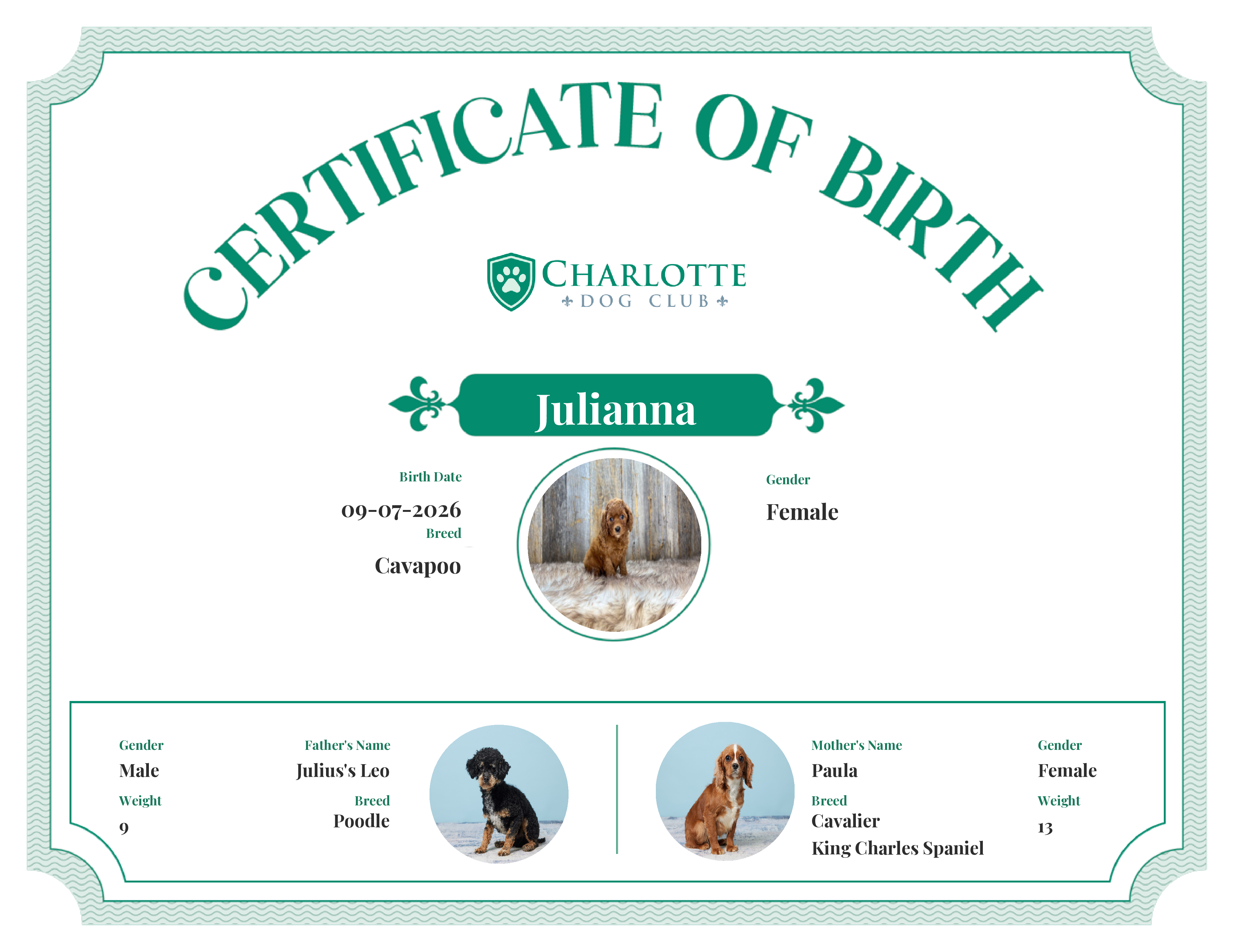 Julianna's Birth Certificate