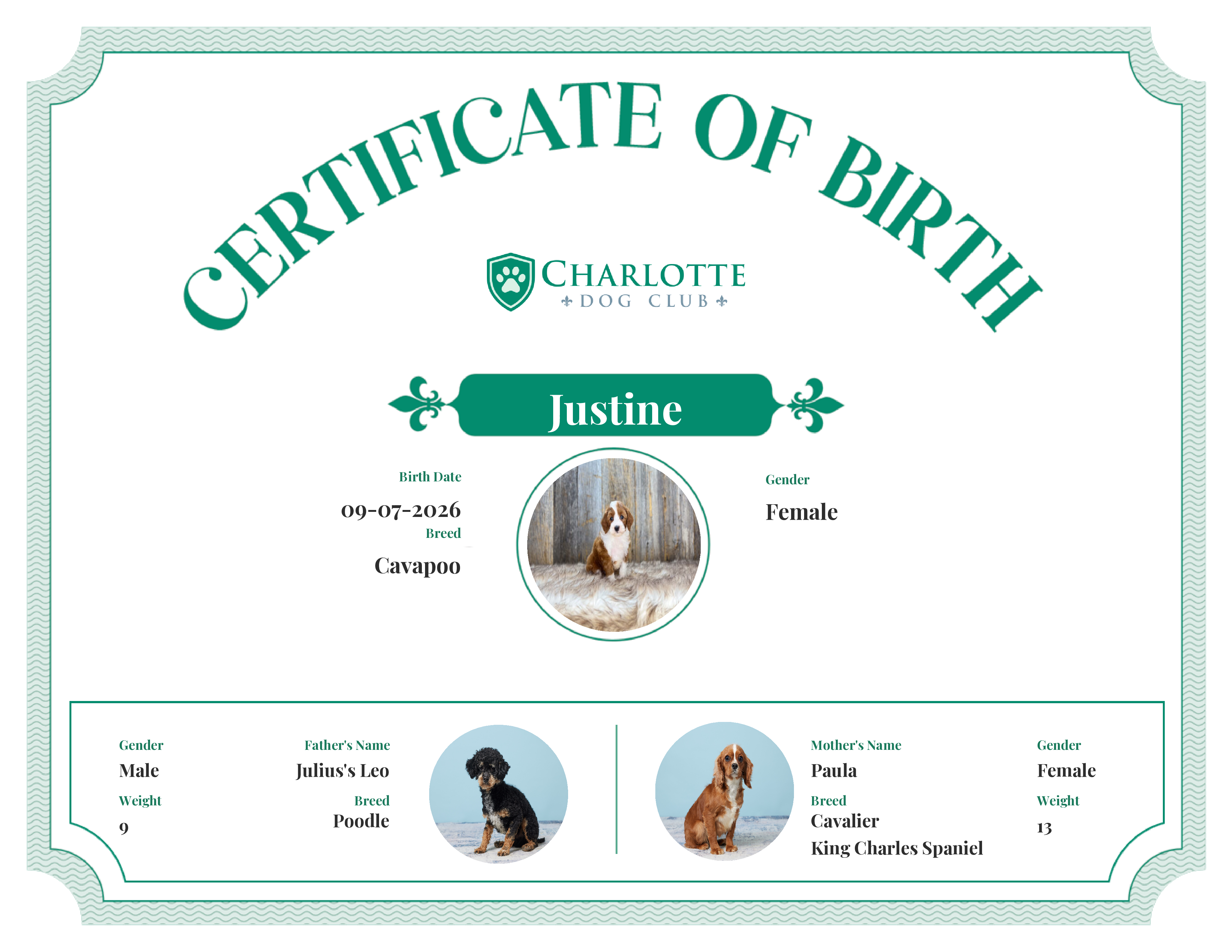 Justine's Birth Certificate