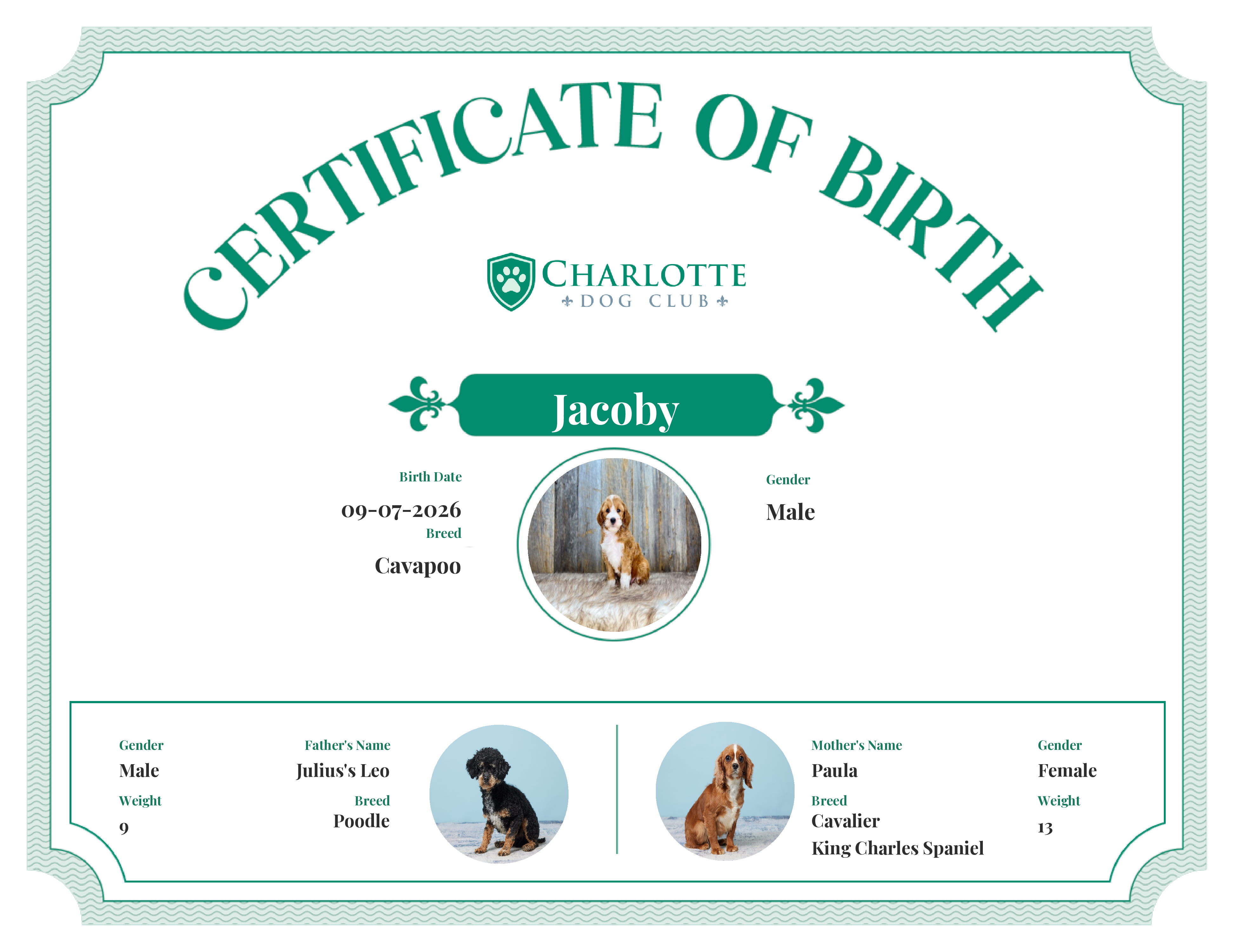 Jacoby's Birth Certificate