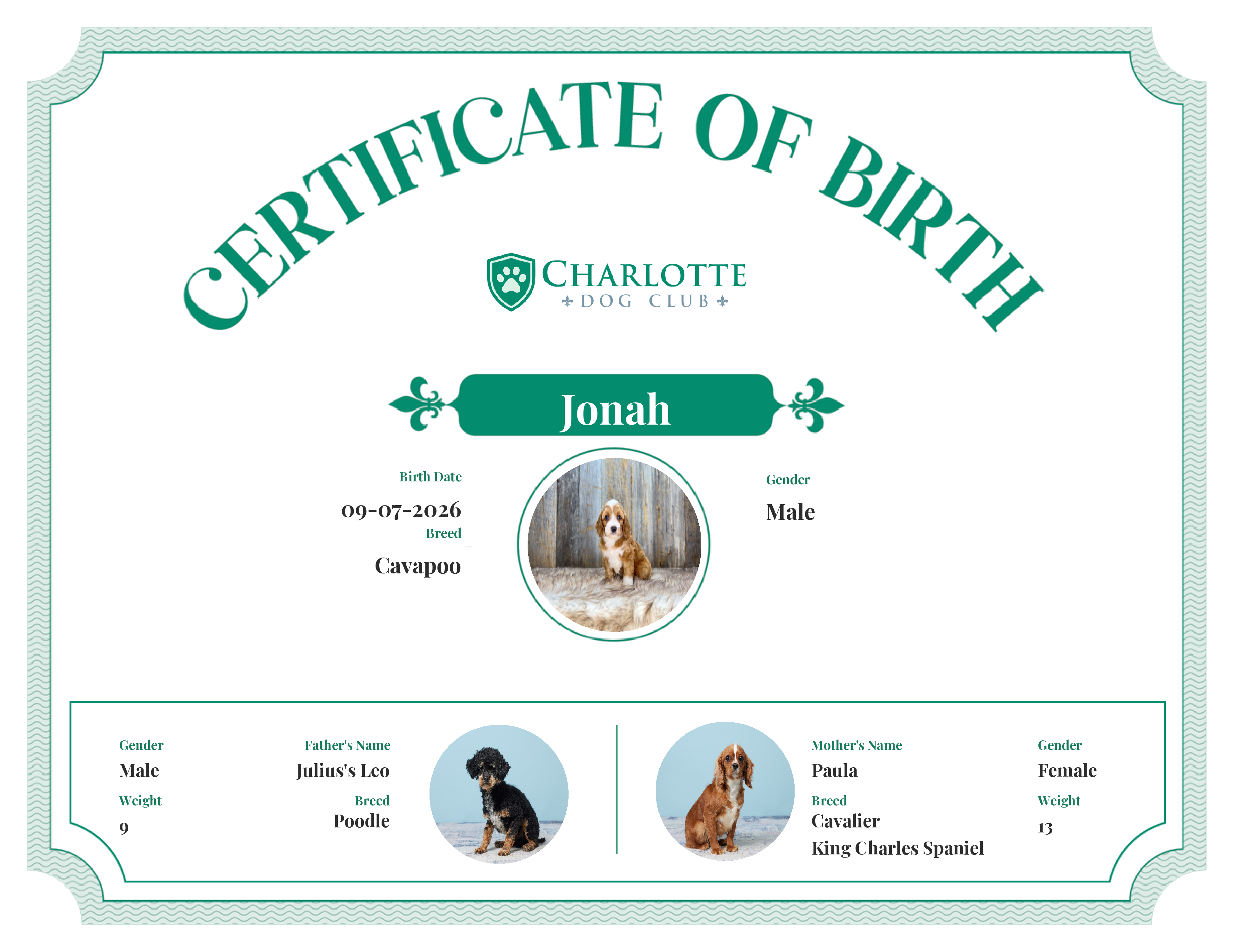Jonah's Birth Certificate