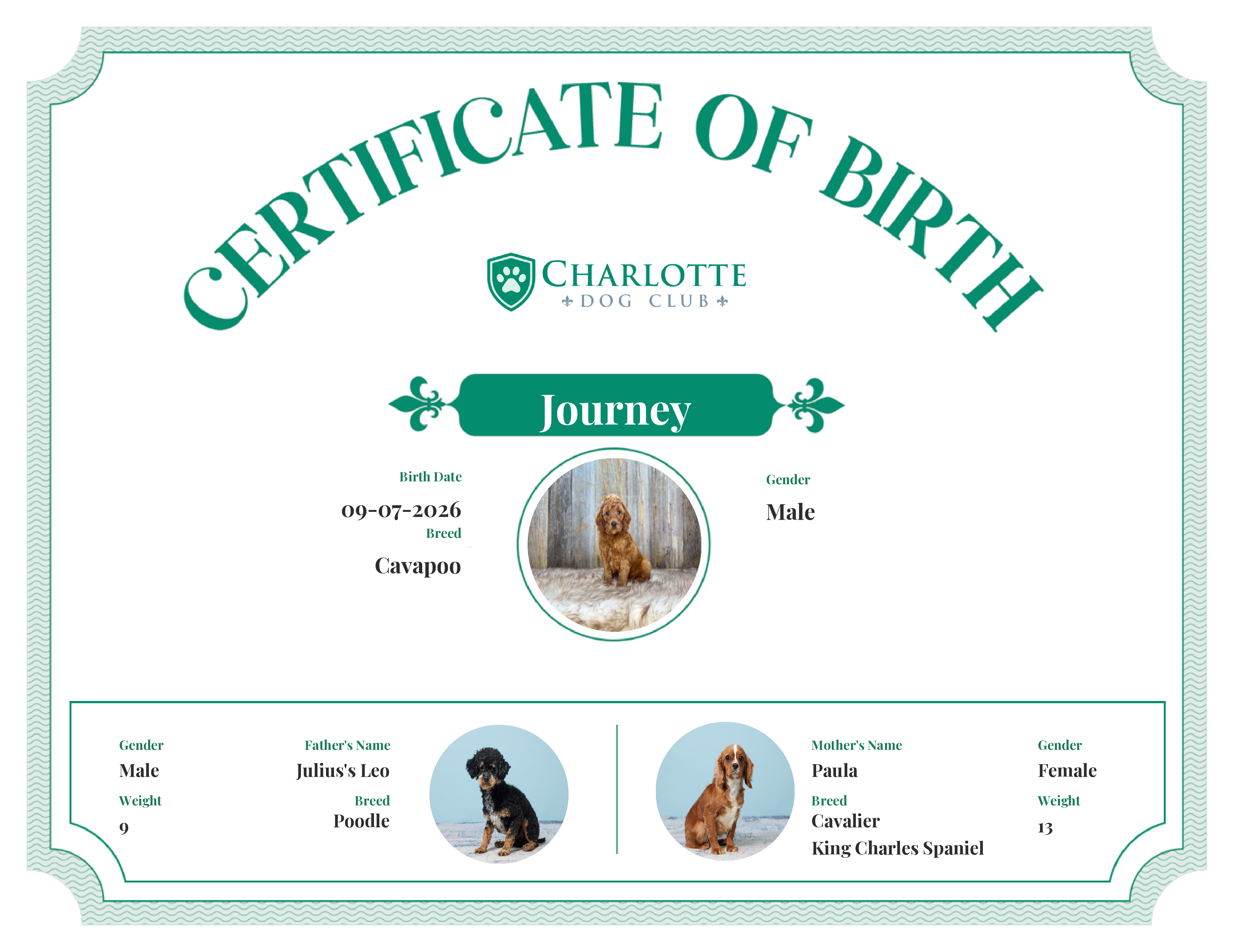 Journey's Birth Certificate