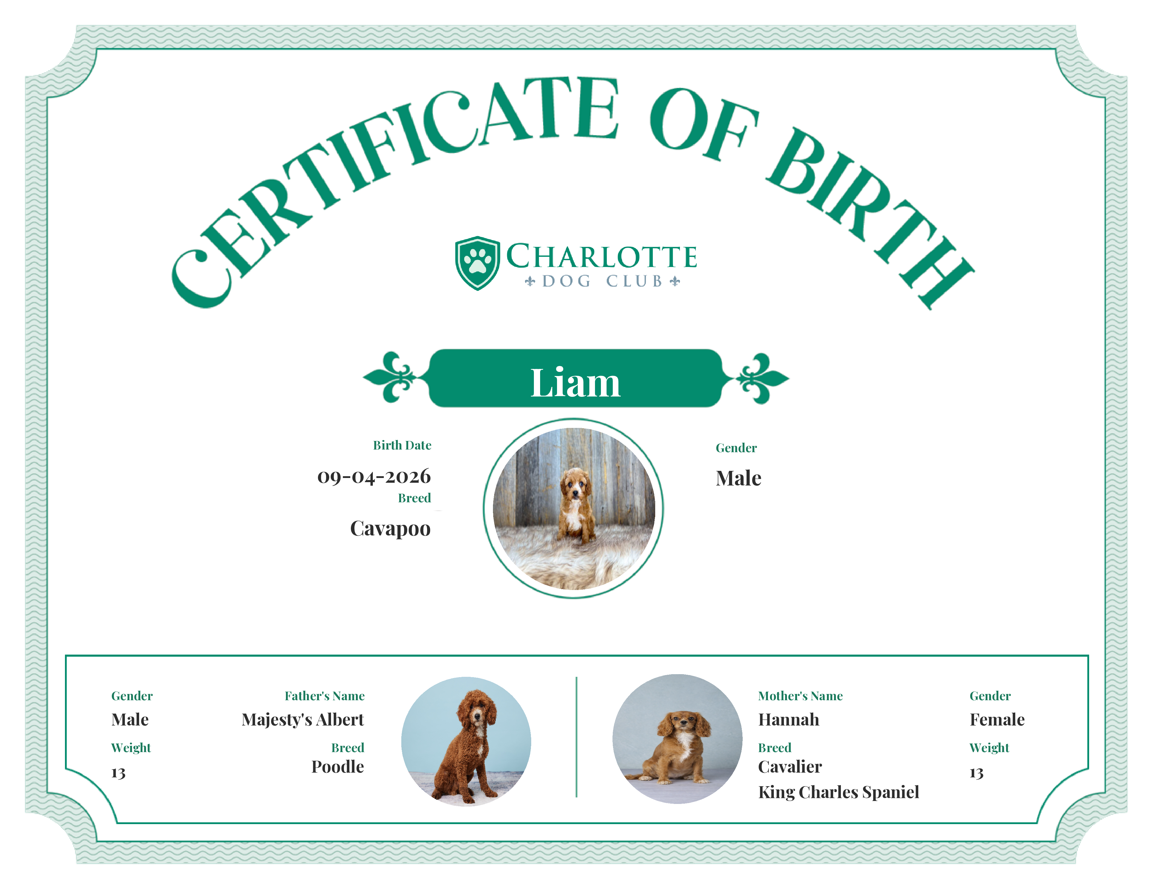 Liam's Birth Certificate
