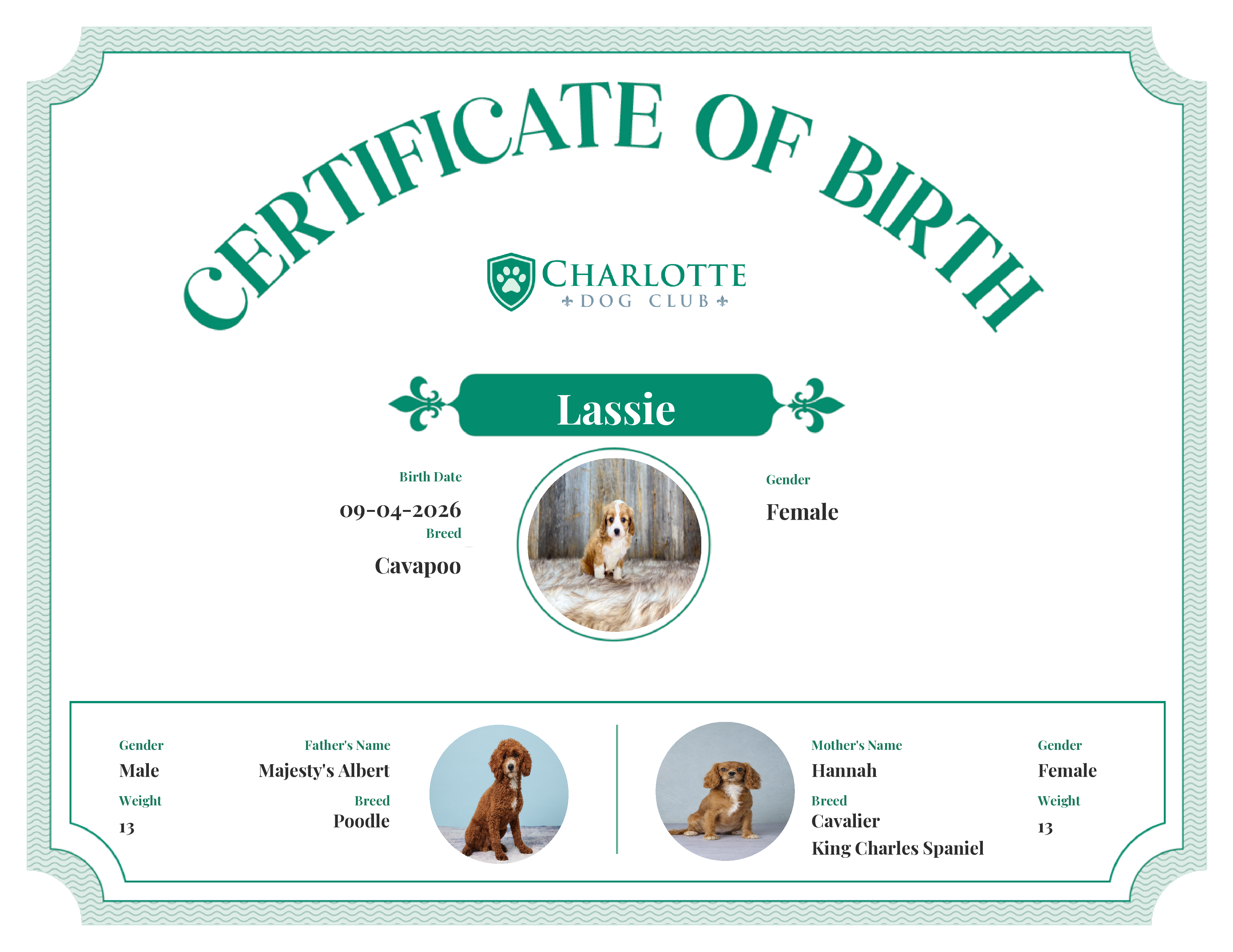 Lassie's Birth Certificate