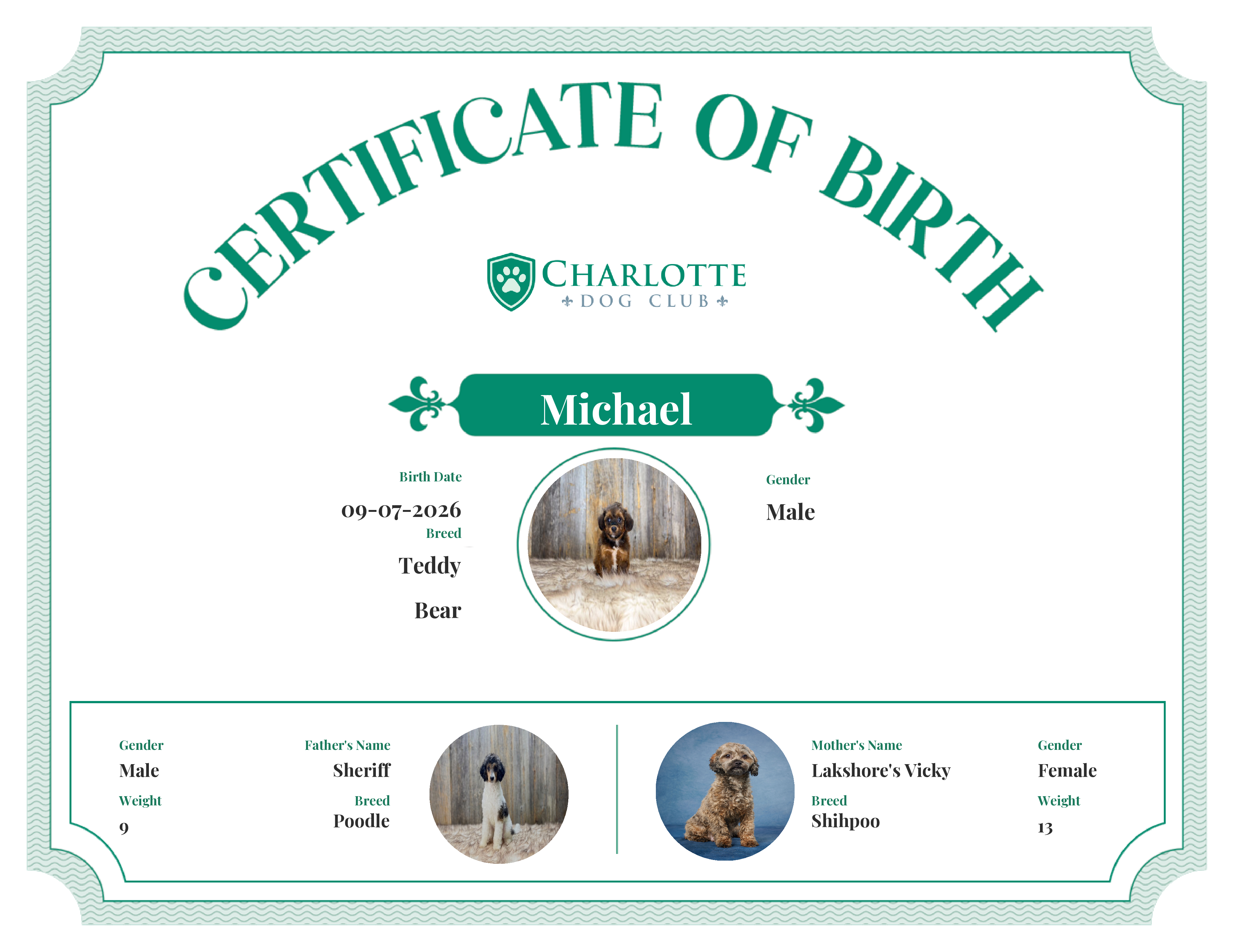 Michael's Birth Certificate