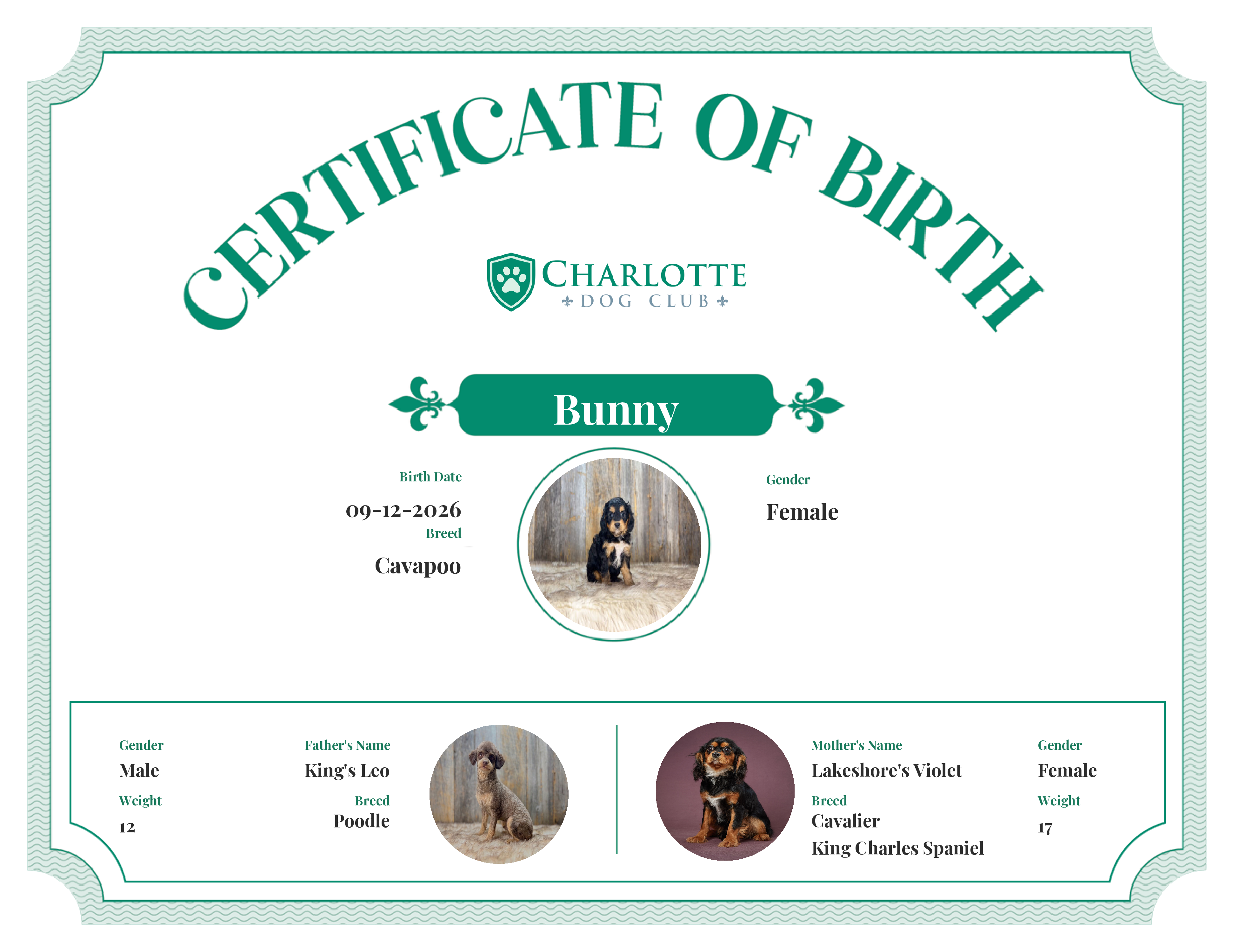 Bunny's Birth Certificate