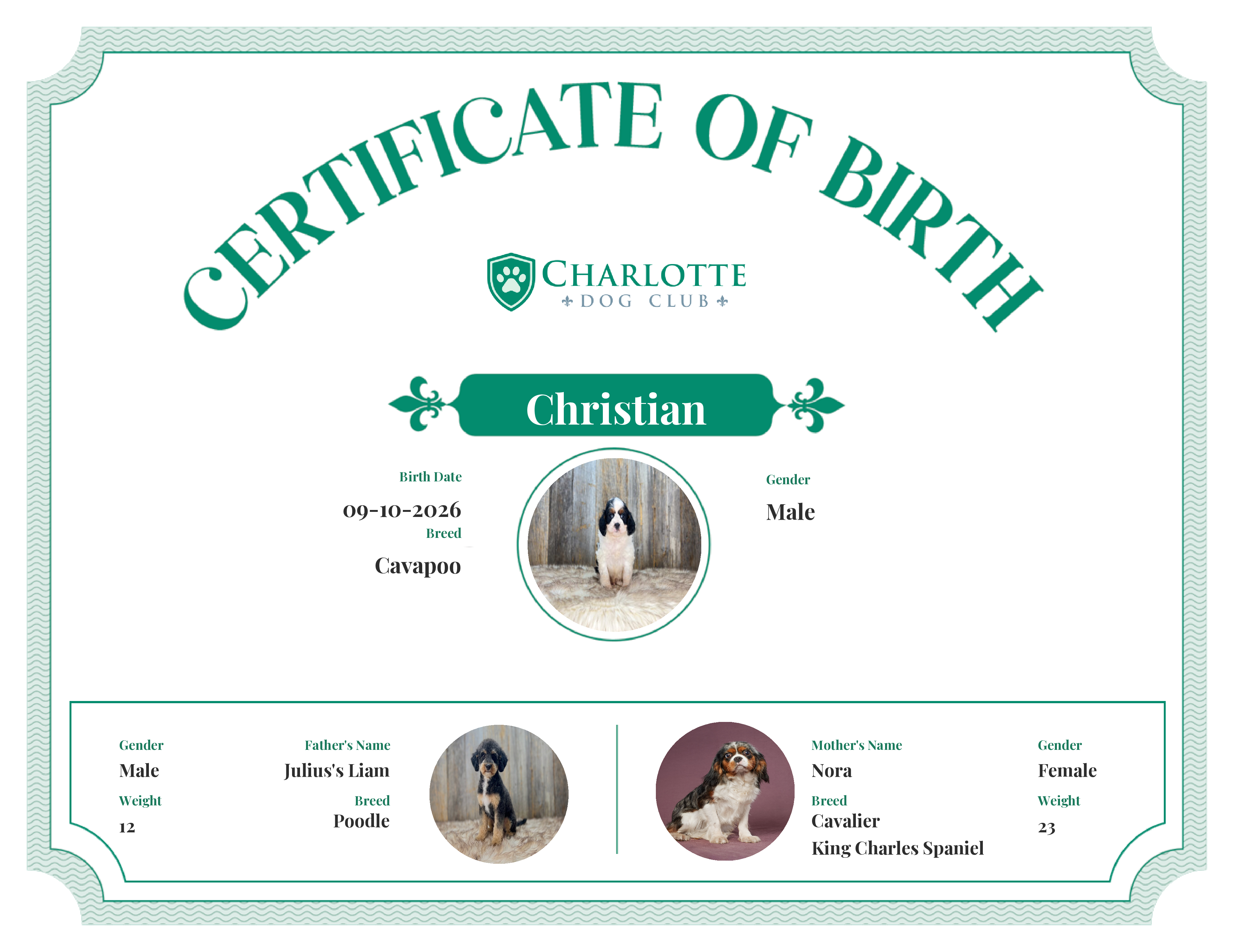 Christian's Birth Certificate