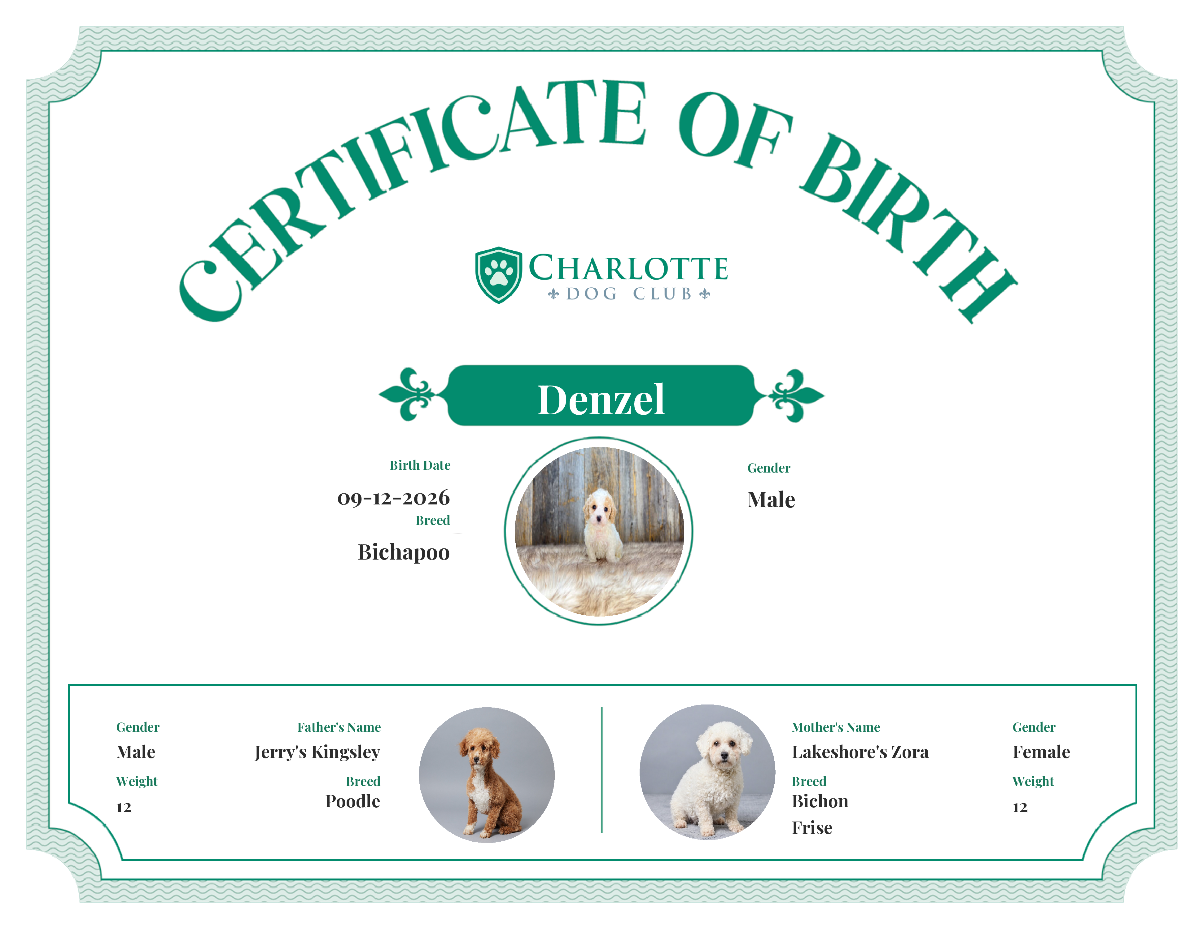 Denzel's Birth Certificate
