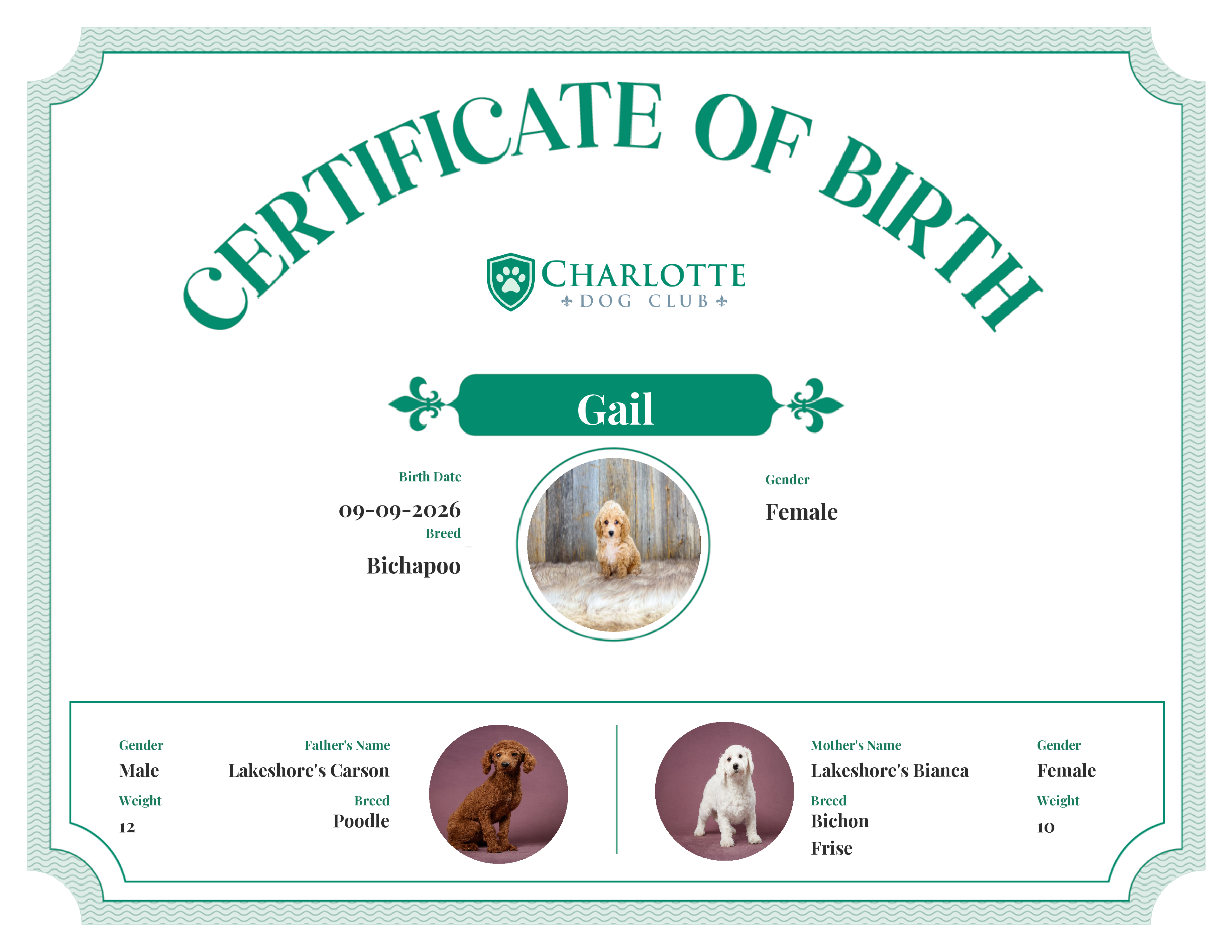 Gail's Birth Certificate