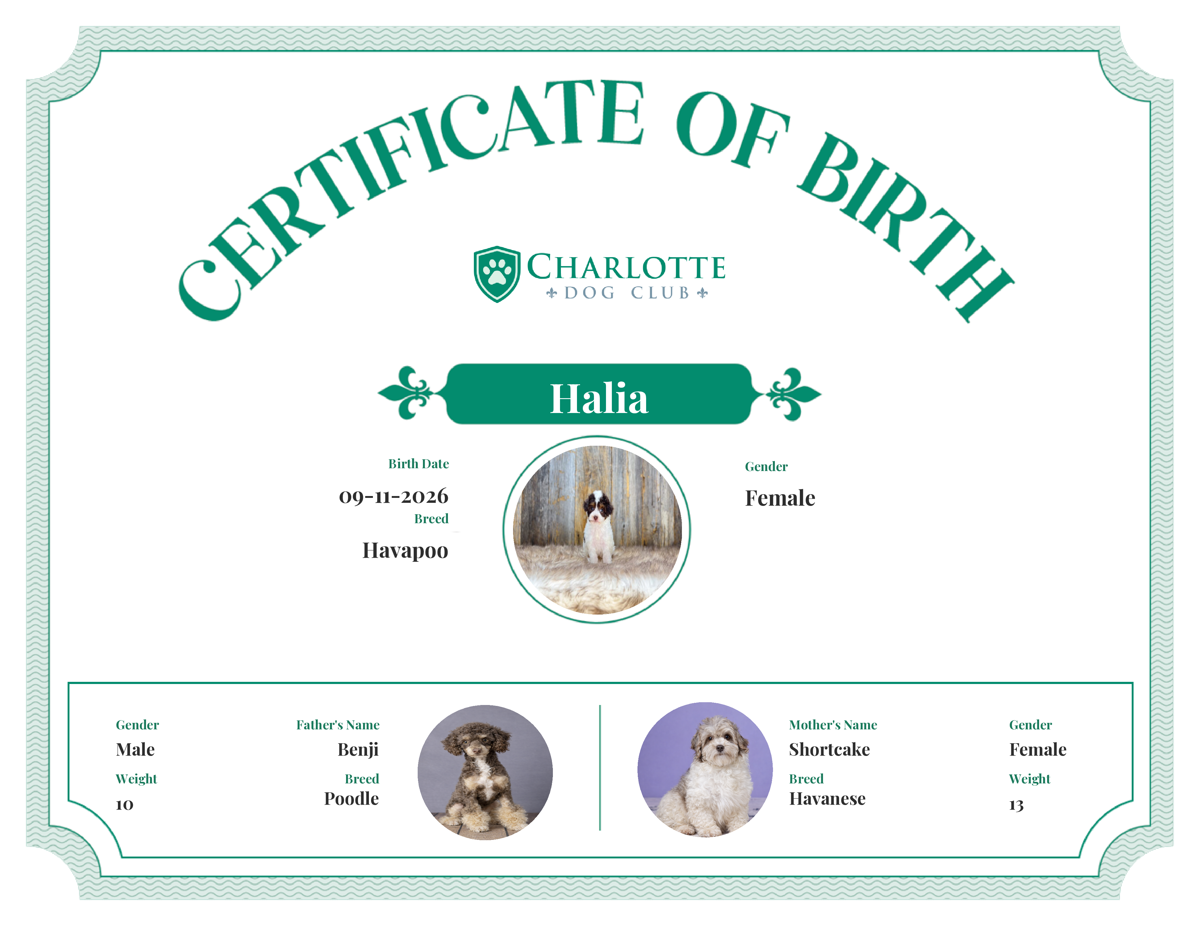 Halia's Birth Certificate