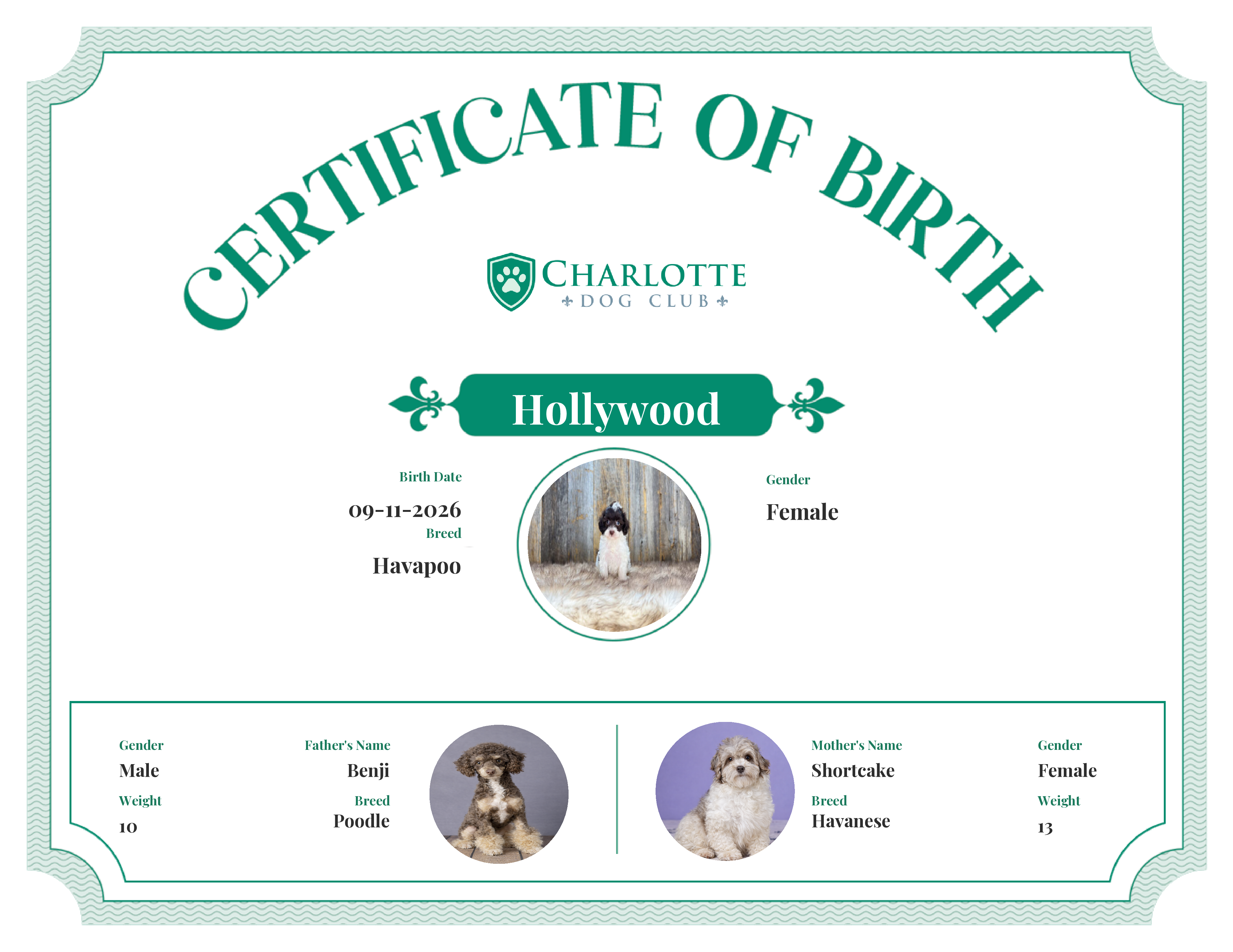 Hollywood's Birth Certificate