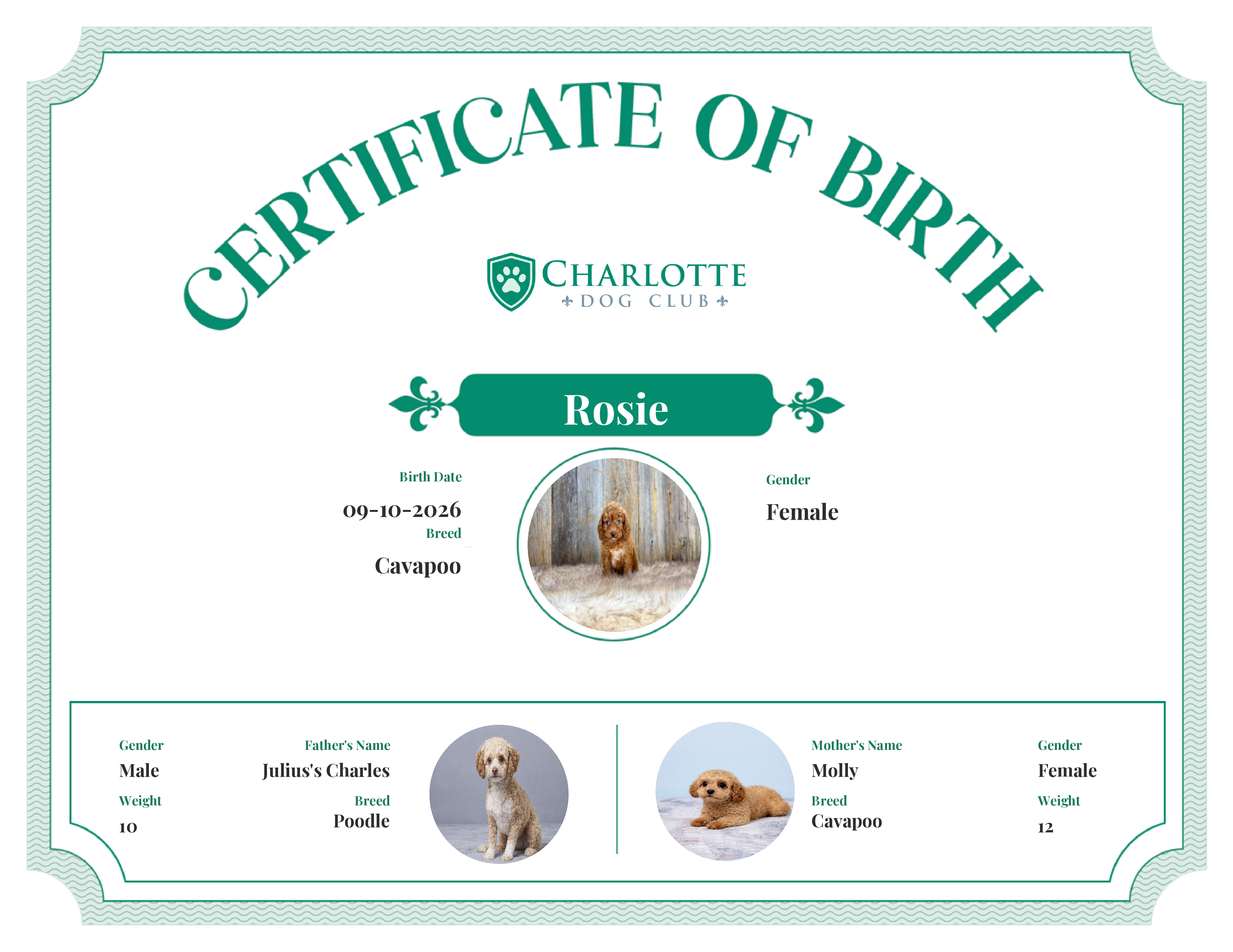 Rosie's Birth Certificate